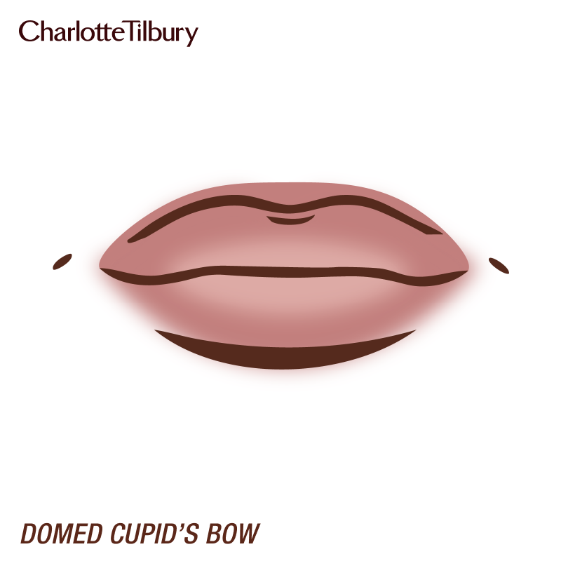 Domed defined Cupid's bow