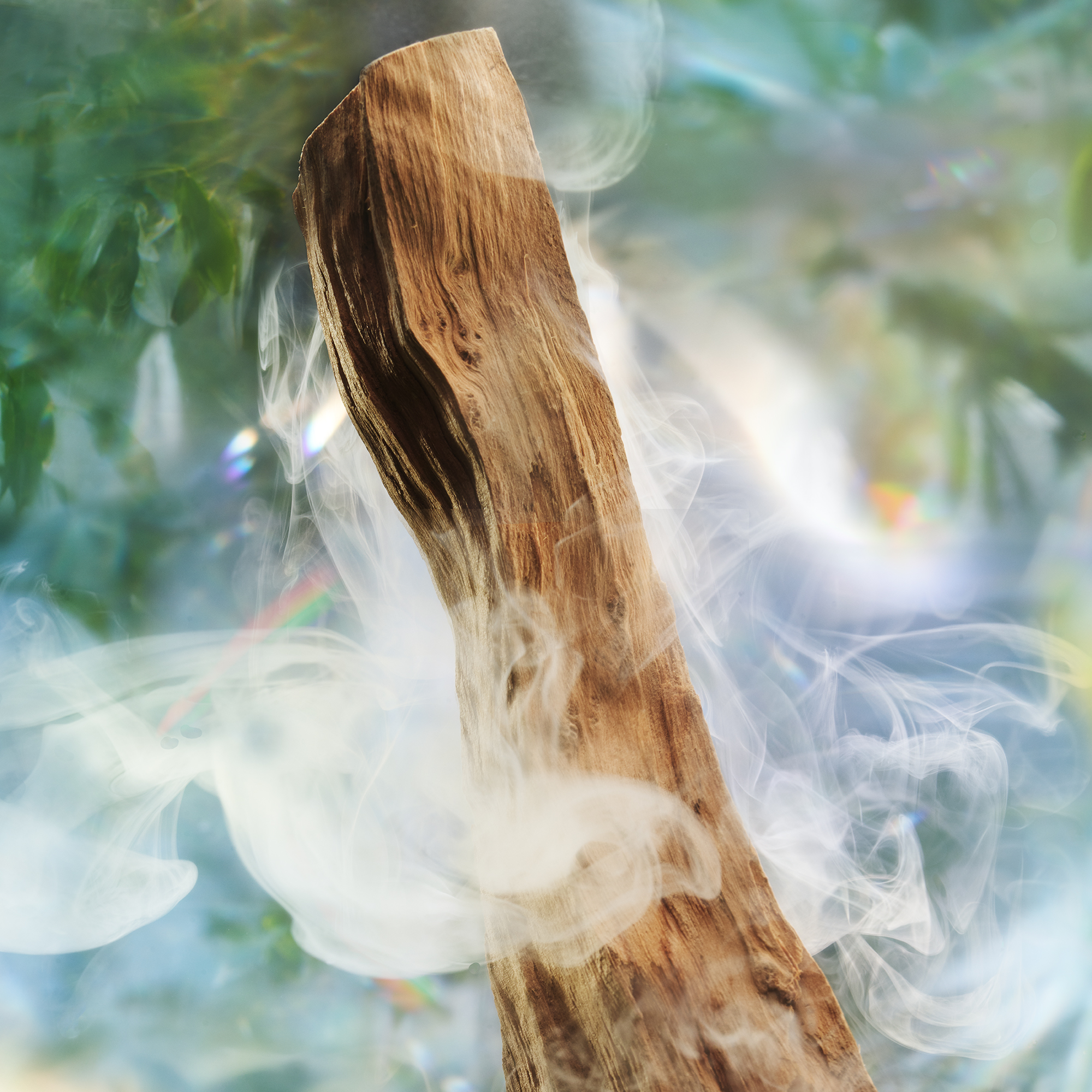 Palo Santo base note ingredient from Magic Energy eau de parfum