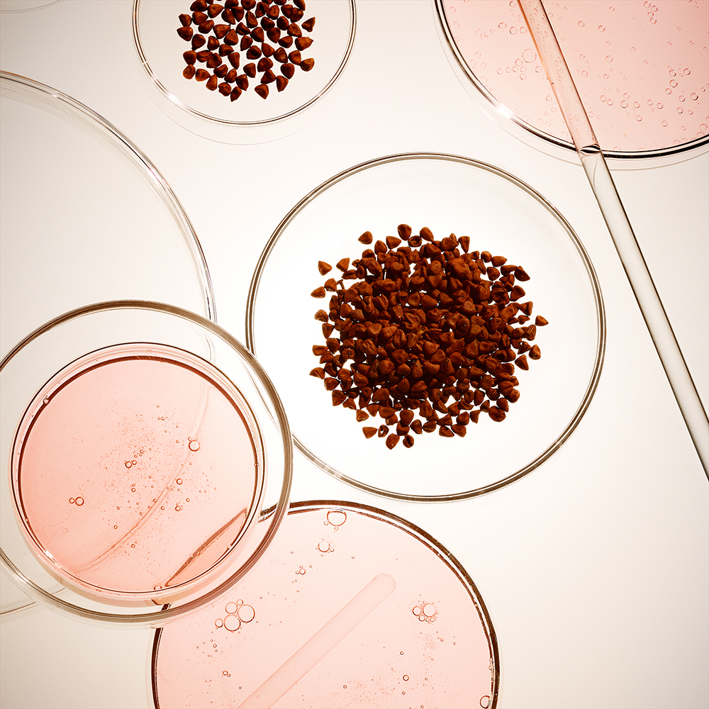 Red-coloured, skincare ingredient, Bix Activ under a microscope.