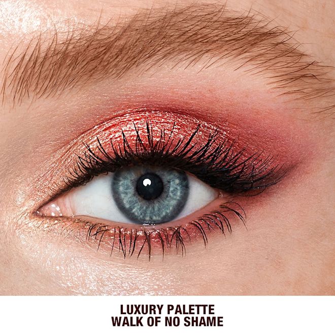 Luxury eye palette close up on blue eyes Luxury eye palette close up on blue eyes