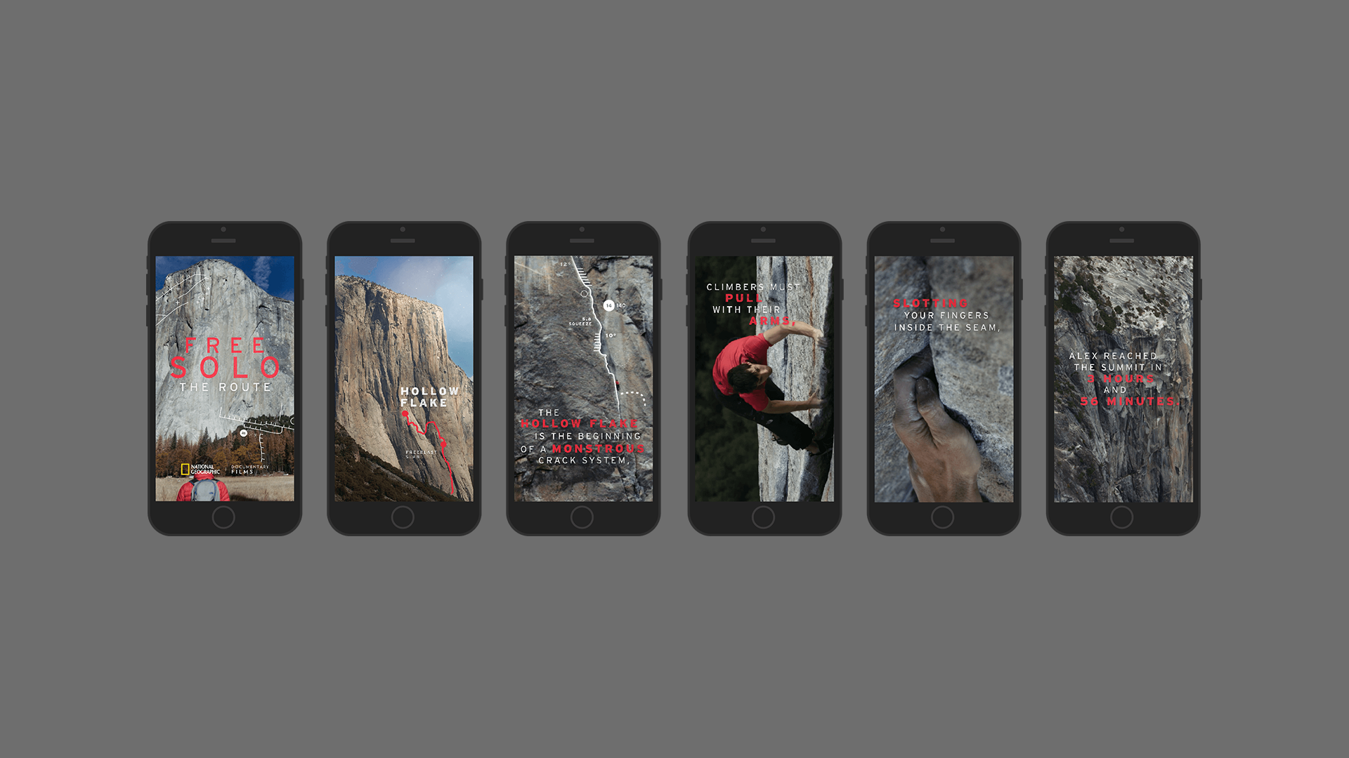 Free Solo Full Width Module