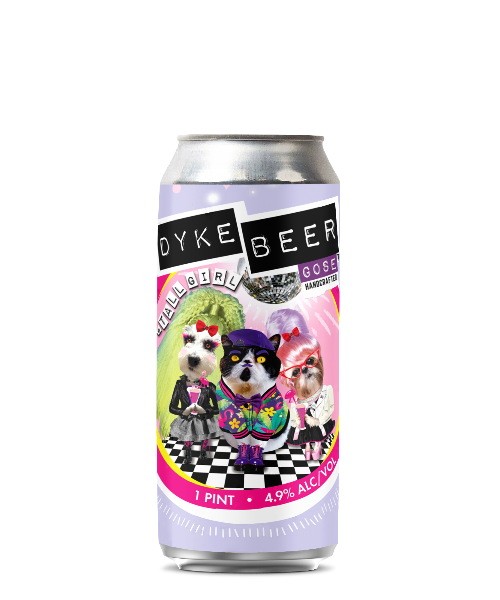 can of dyke beer gose