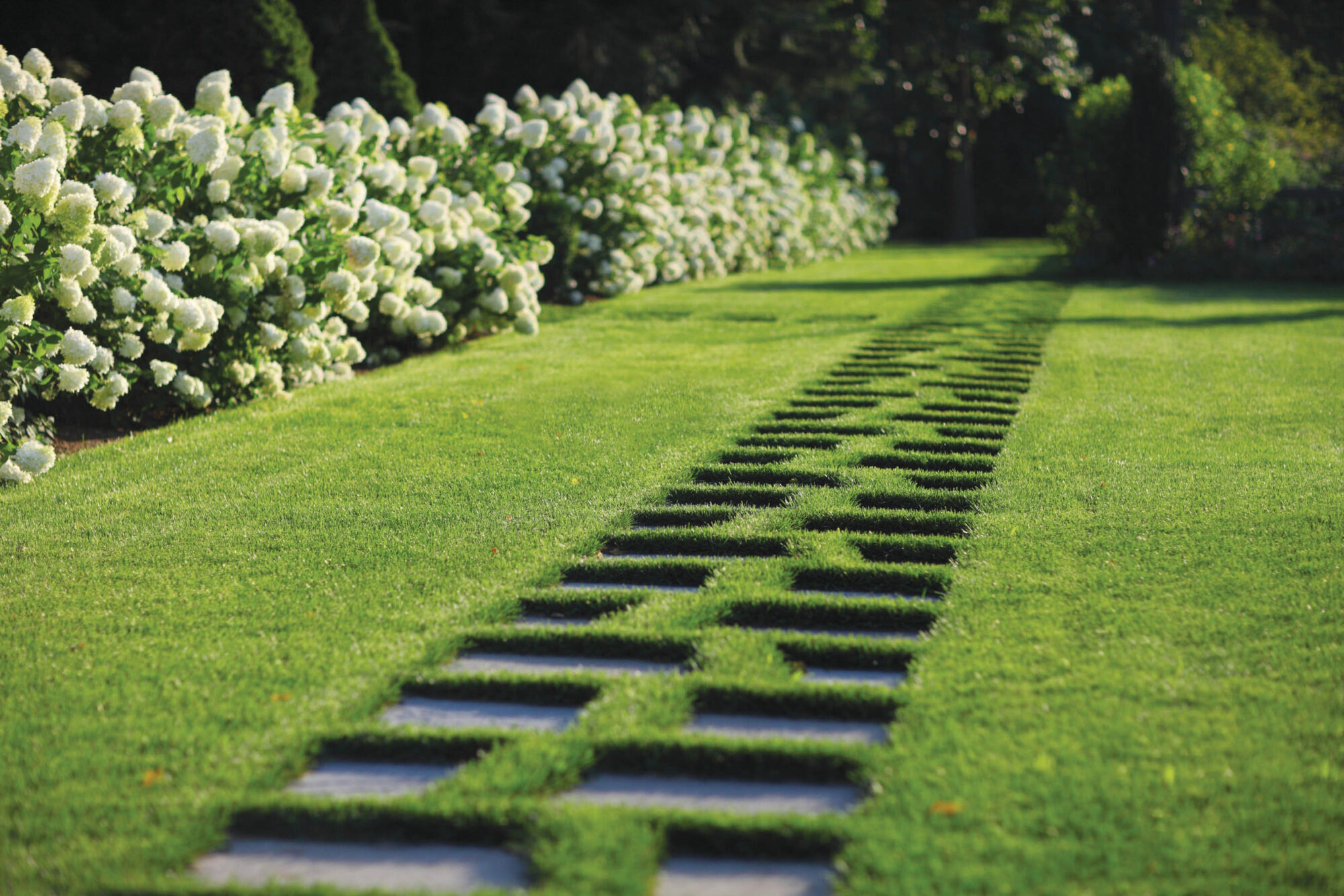 stone walkway in grass