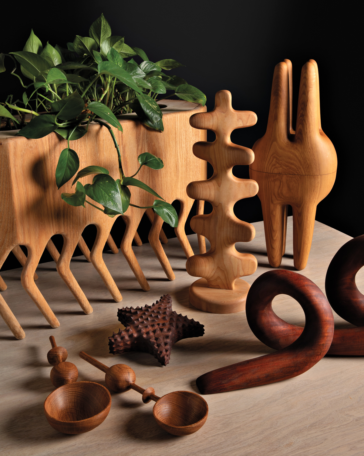 Various wooden vessels and sculptures, including a planter, together on a table