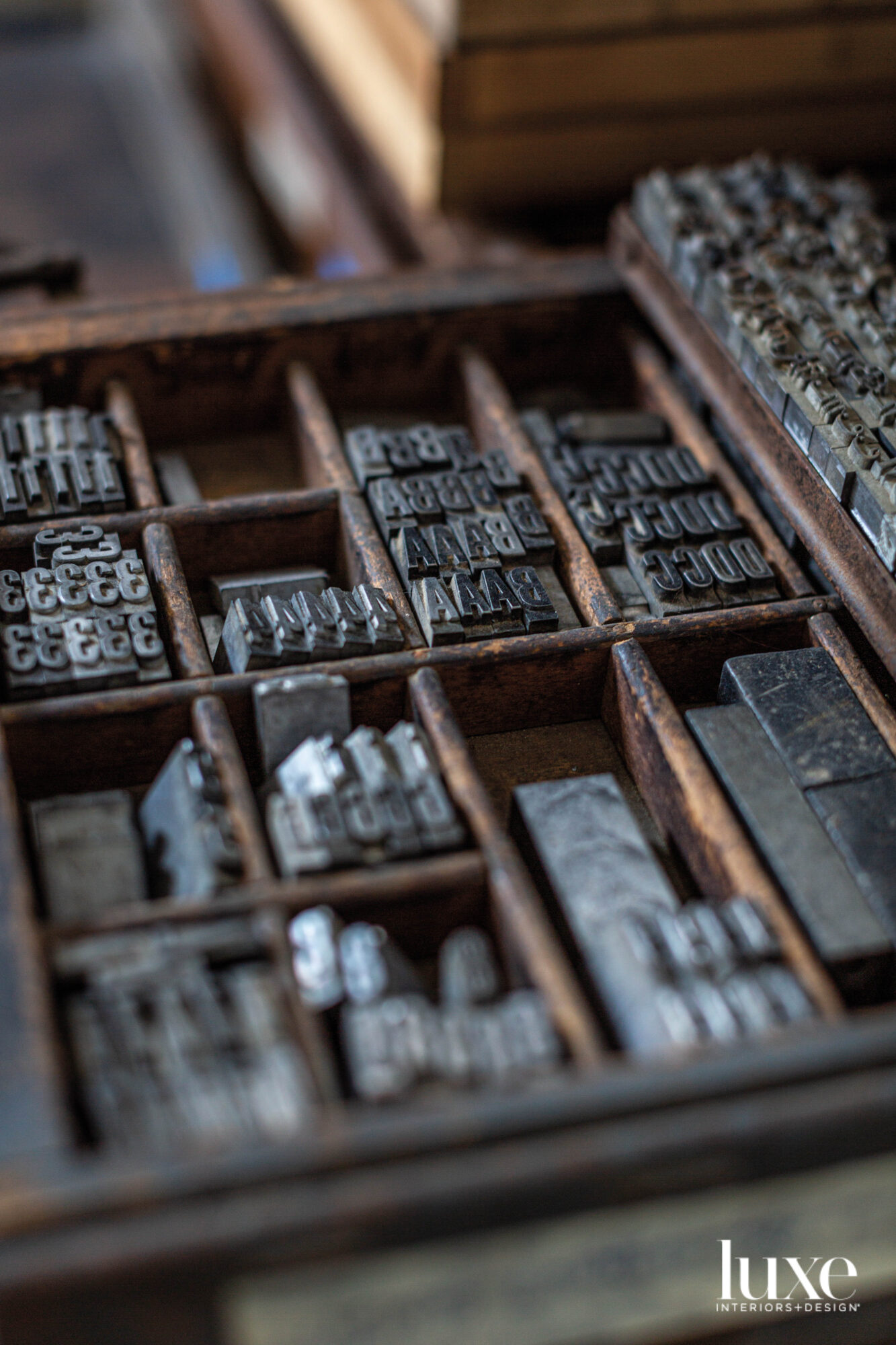 Metal types in Delita Martin's studio.