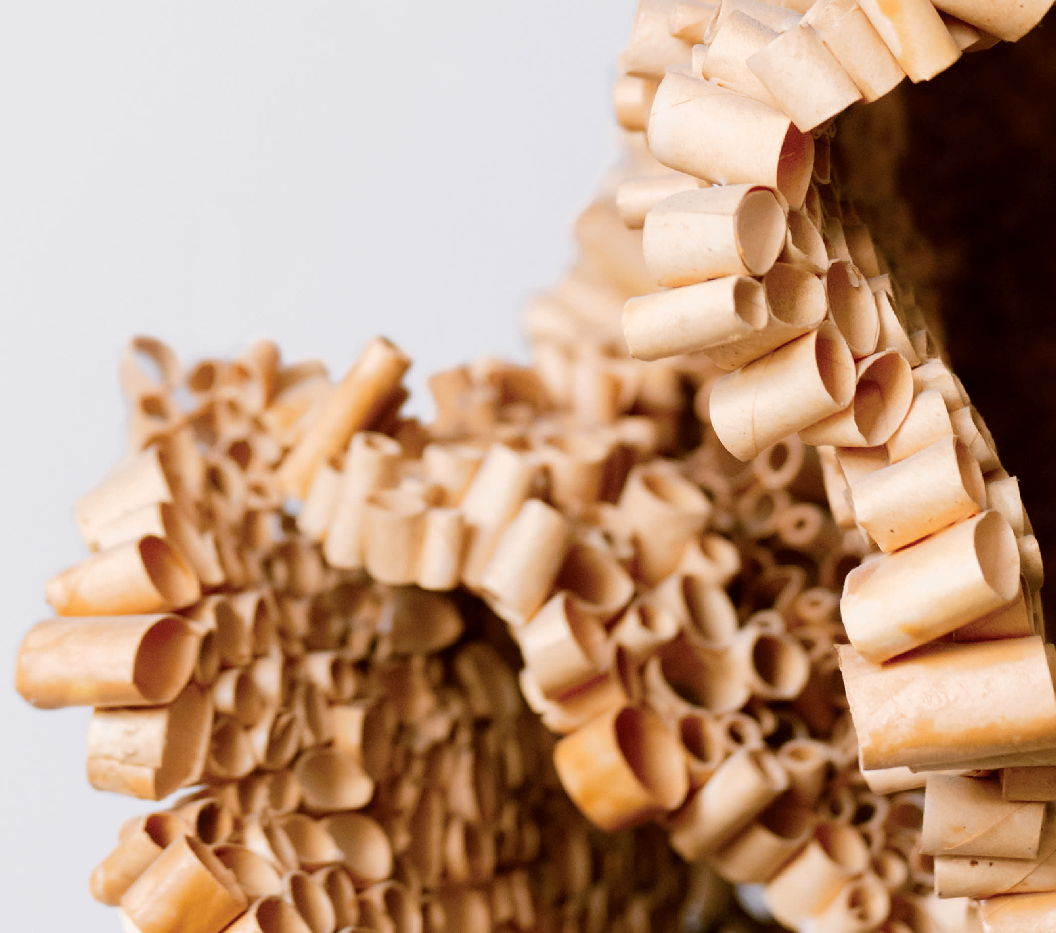  Cellulose II, an art piece made of a number of tubes stacked atop one another