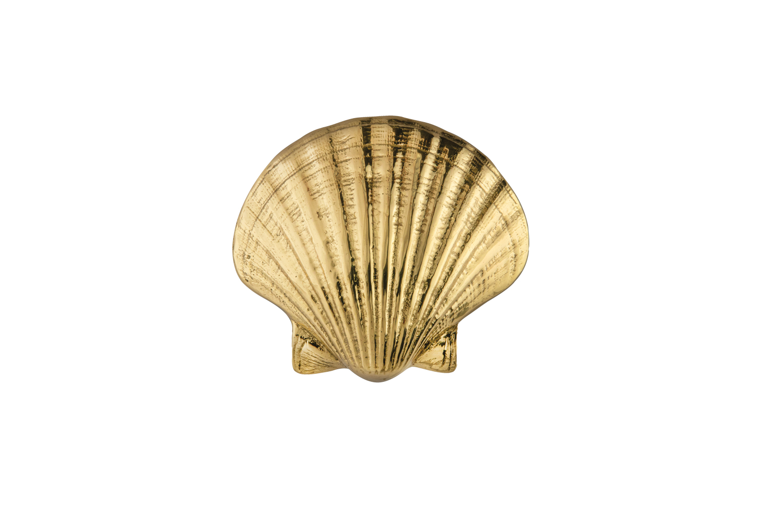 brass seashell-shaped cabinet pull