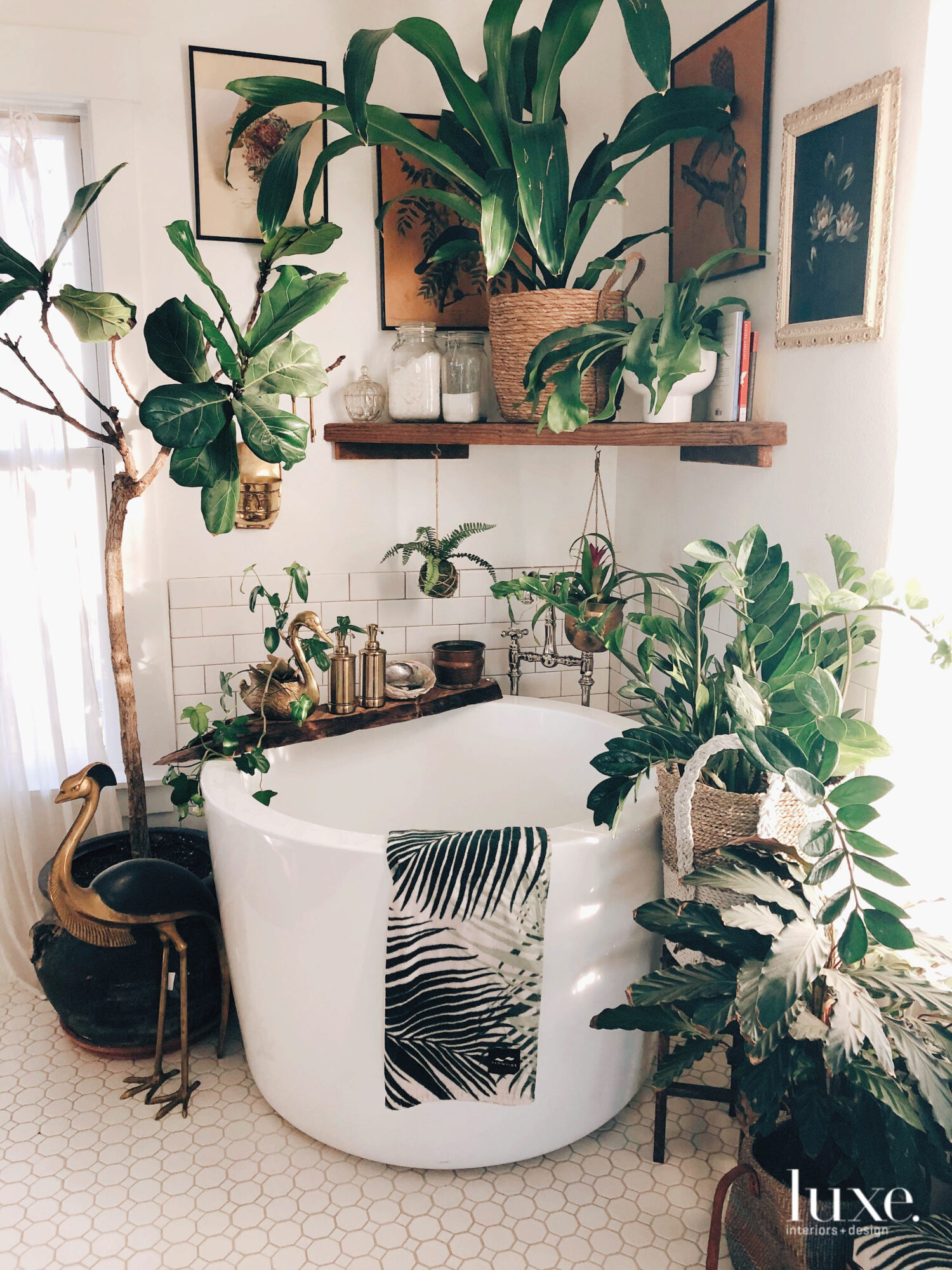 Lush greenery surrounds a small bathtub