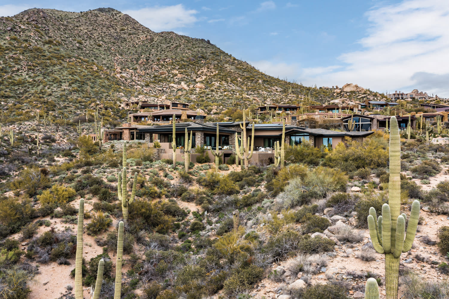 Stone and stucco contemporary mountain home is surrounded by desert fauna