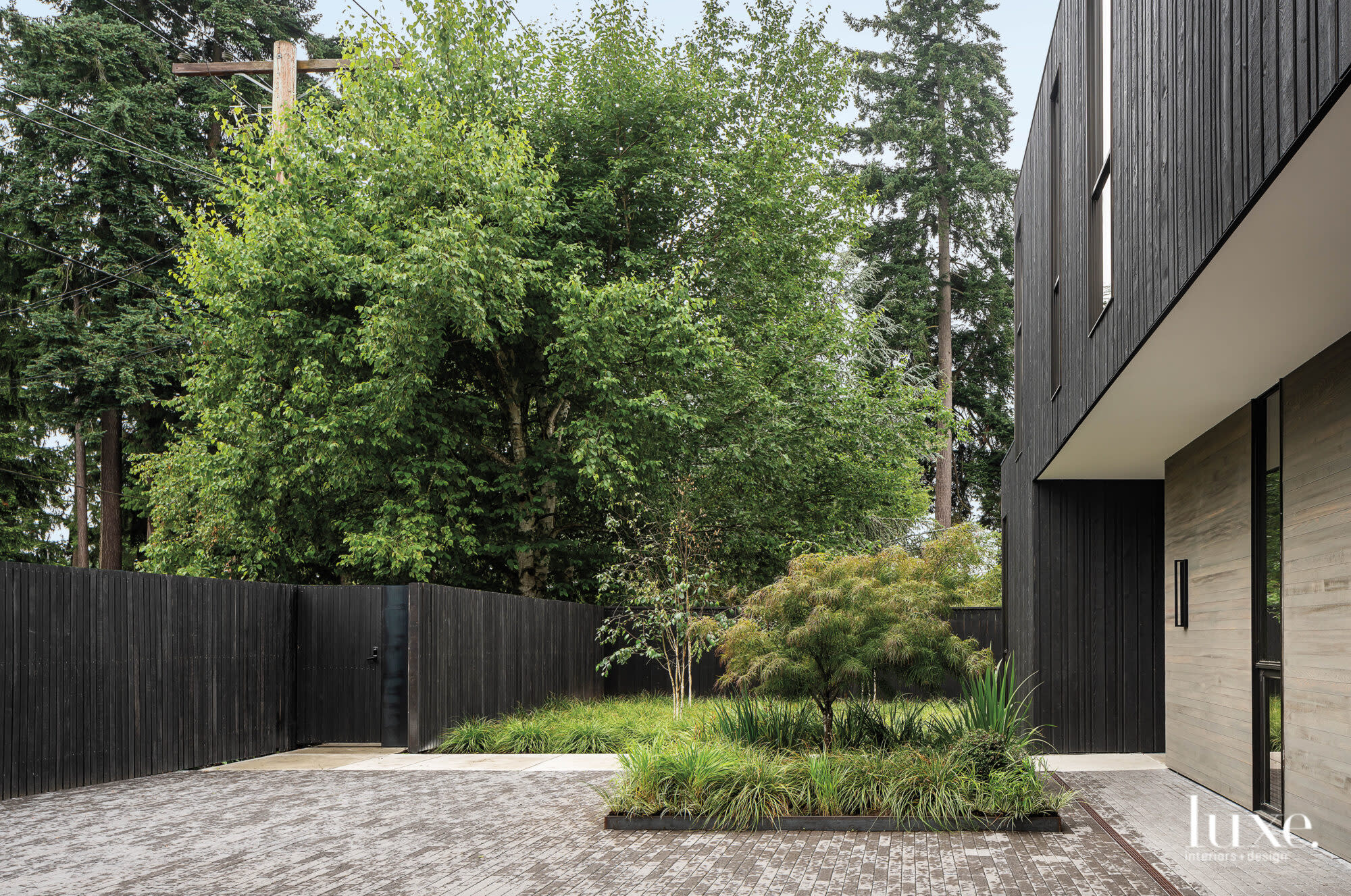 Front entry with cedar siding and trees