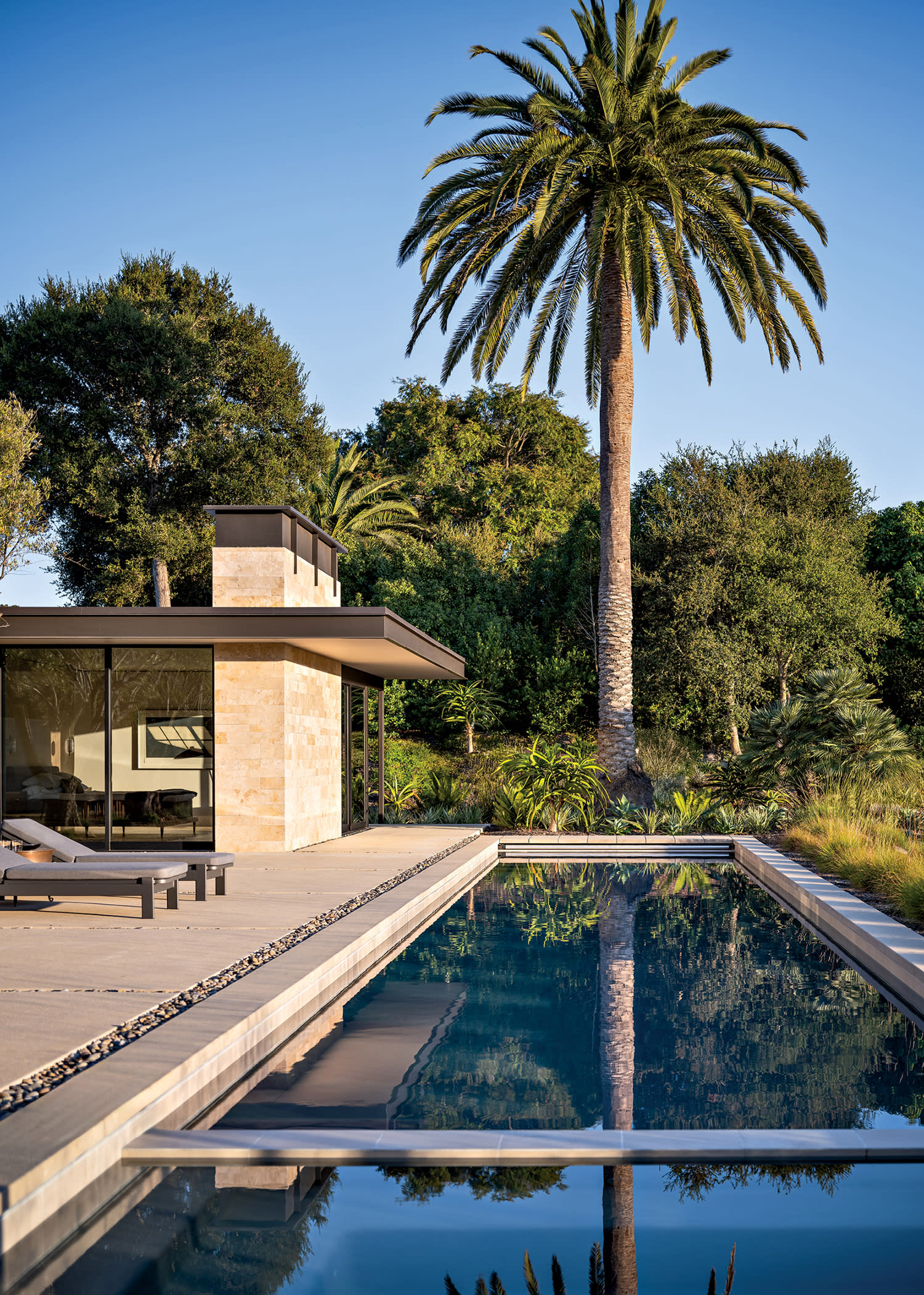 Santa Barbara home's backyard featuring a lap pool surrounded by natural landscaping