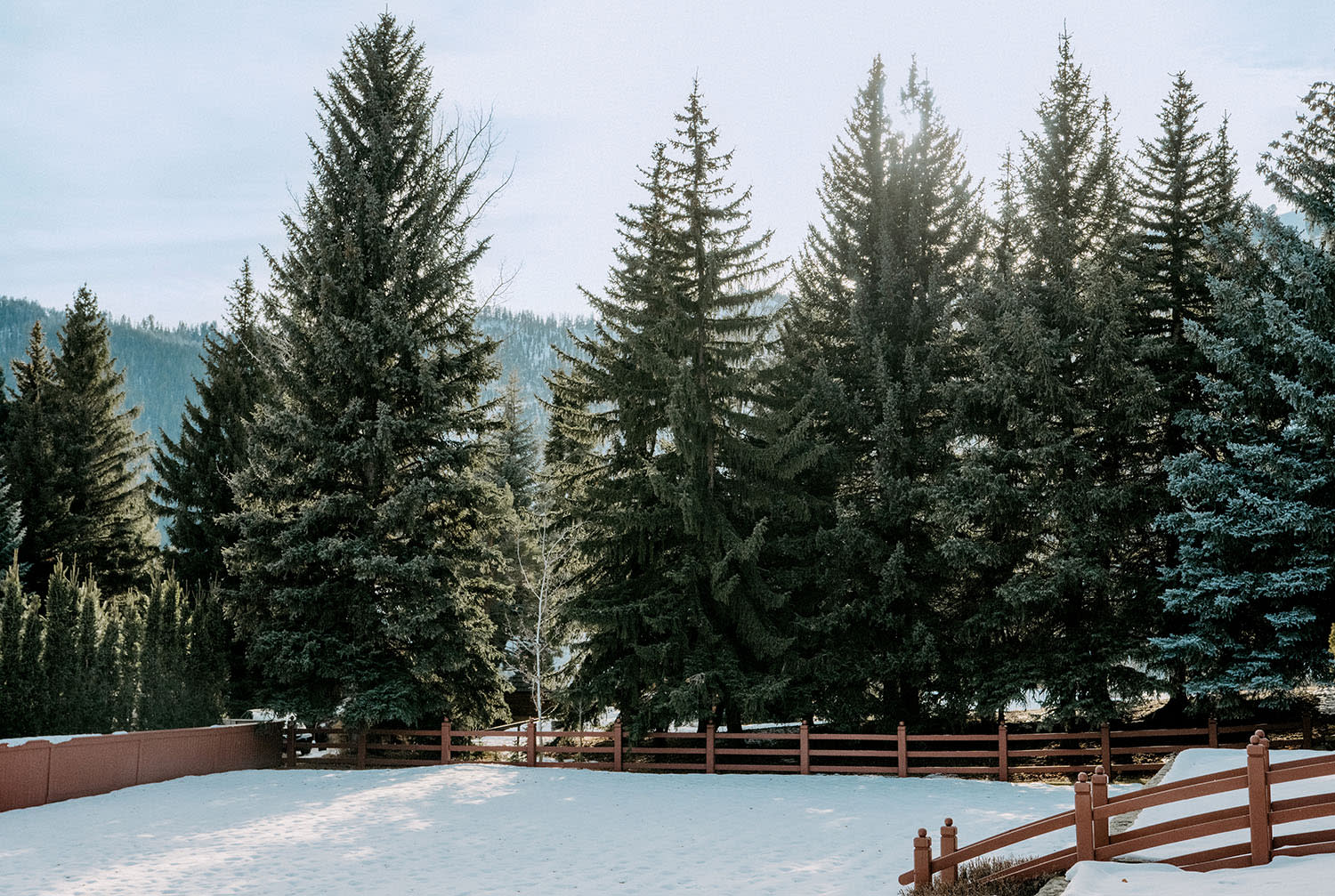 A yard covered in snow, bordered by tall trees and a wood fence overlooking mountains.