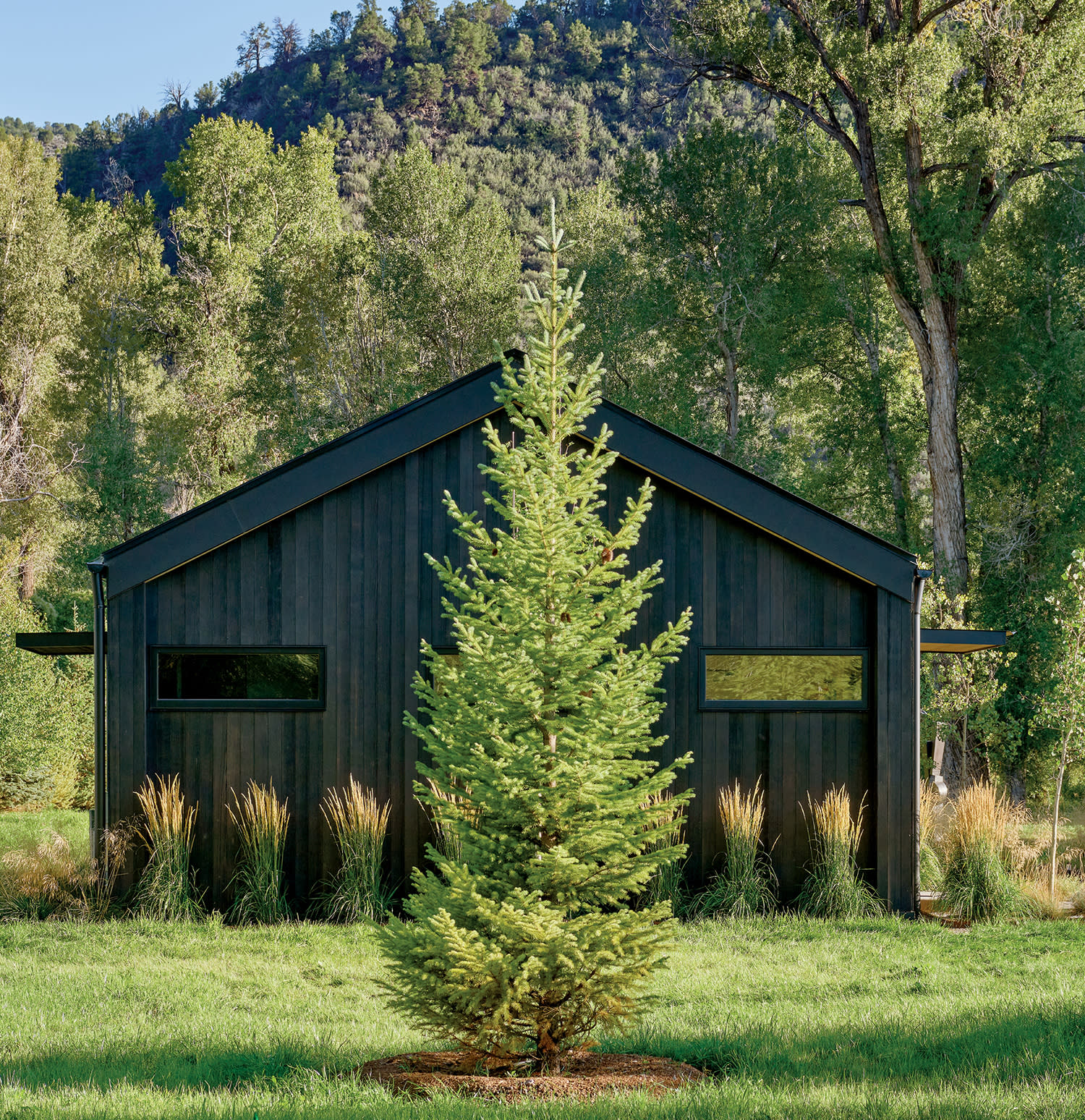 darkened cedar wraps a guest house/creative studio 