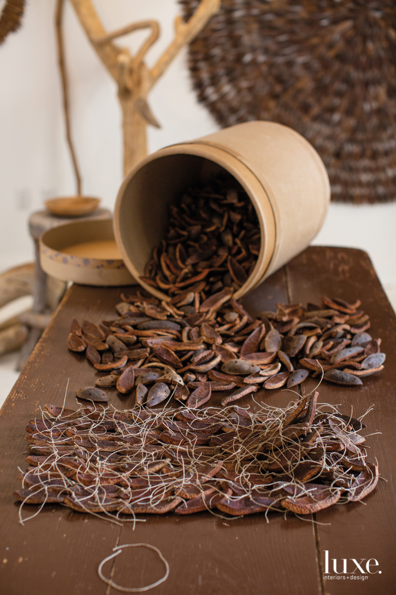 dried mahogany pods in a pot and tied together