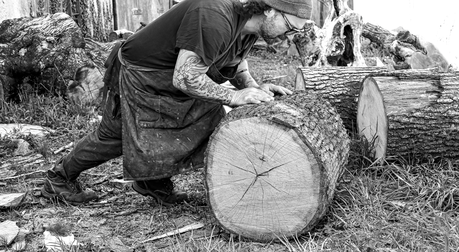 Ian Love observing characteristics of tree to use for sculptural furnishings