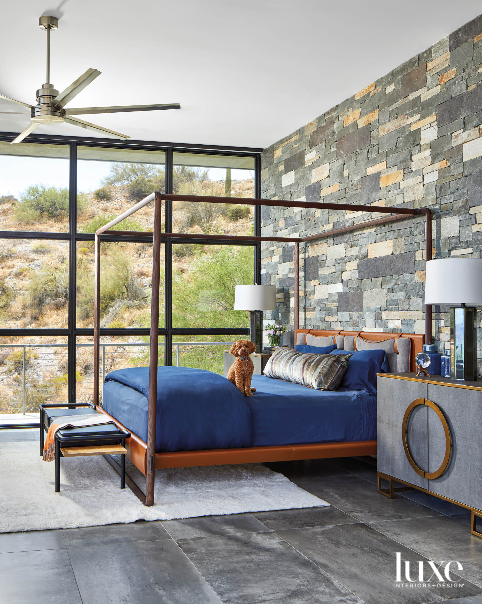 A dog sits on top of a canopy bed with blue linens.