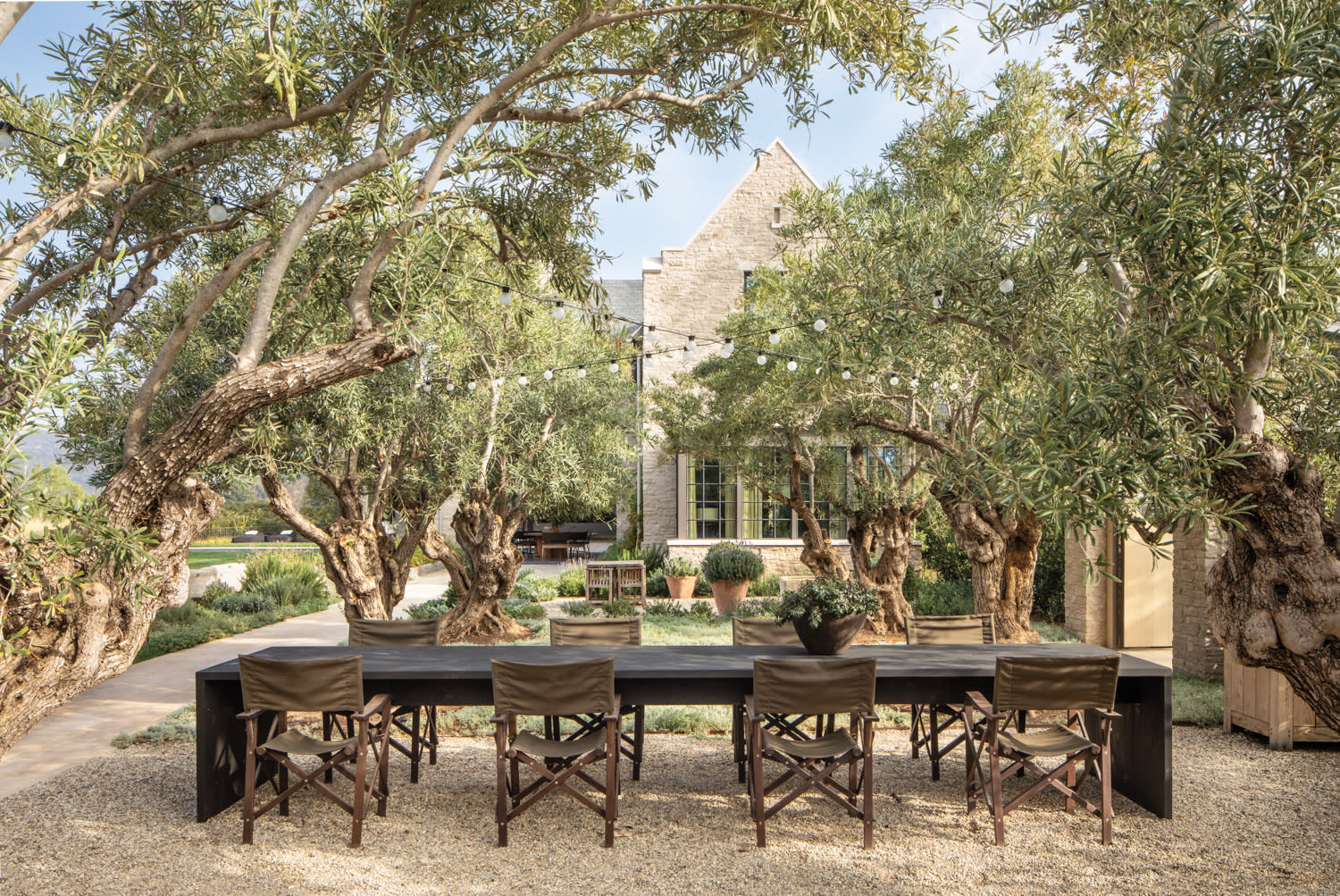 long outdoor dining table with canvas chairs set within an olive grove undercafe-style string lights