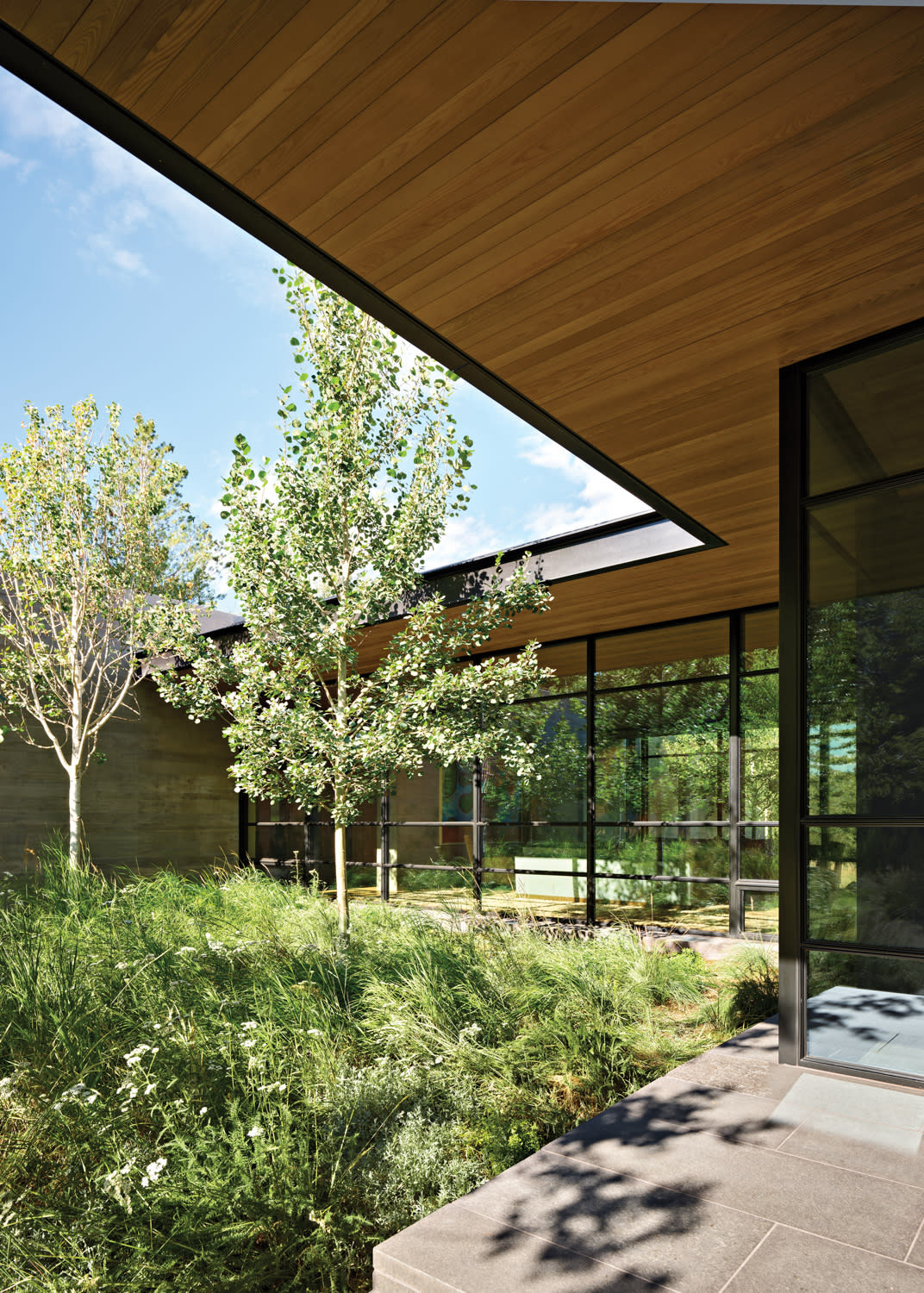 exterior view of a contemporary home with glass walls surrounded by Aspen trees