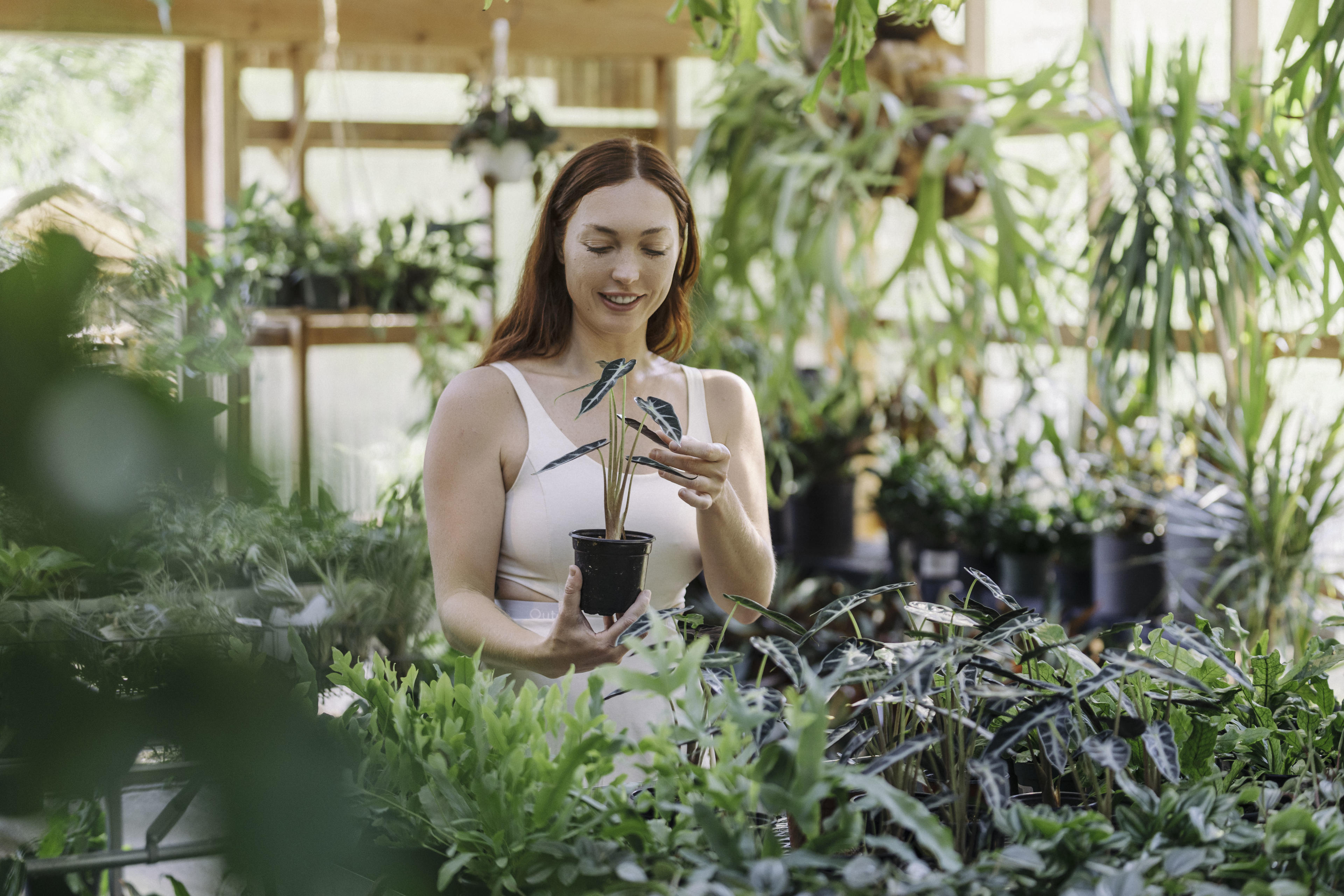 Visit our many greenhouses of house plants, veggies, herbs and of course native plants! Photo Credit: Whitney Runyon