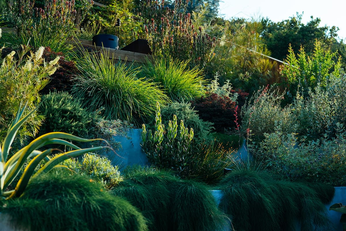A verdant hillside adorned with diverse vegetation and grass, illustrating a peaceful outdoor landscape.