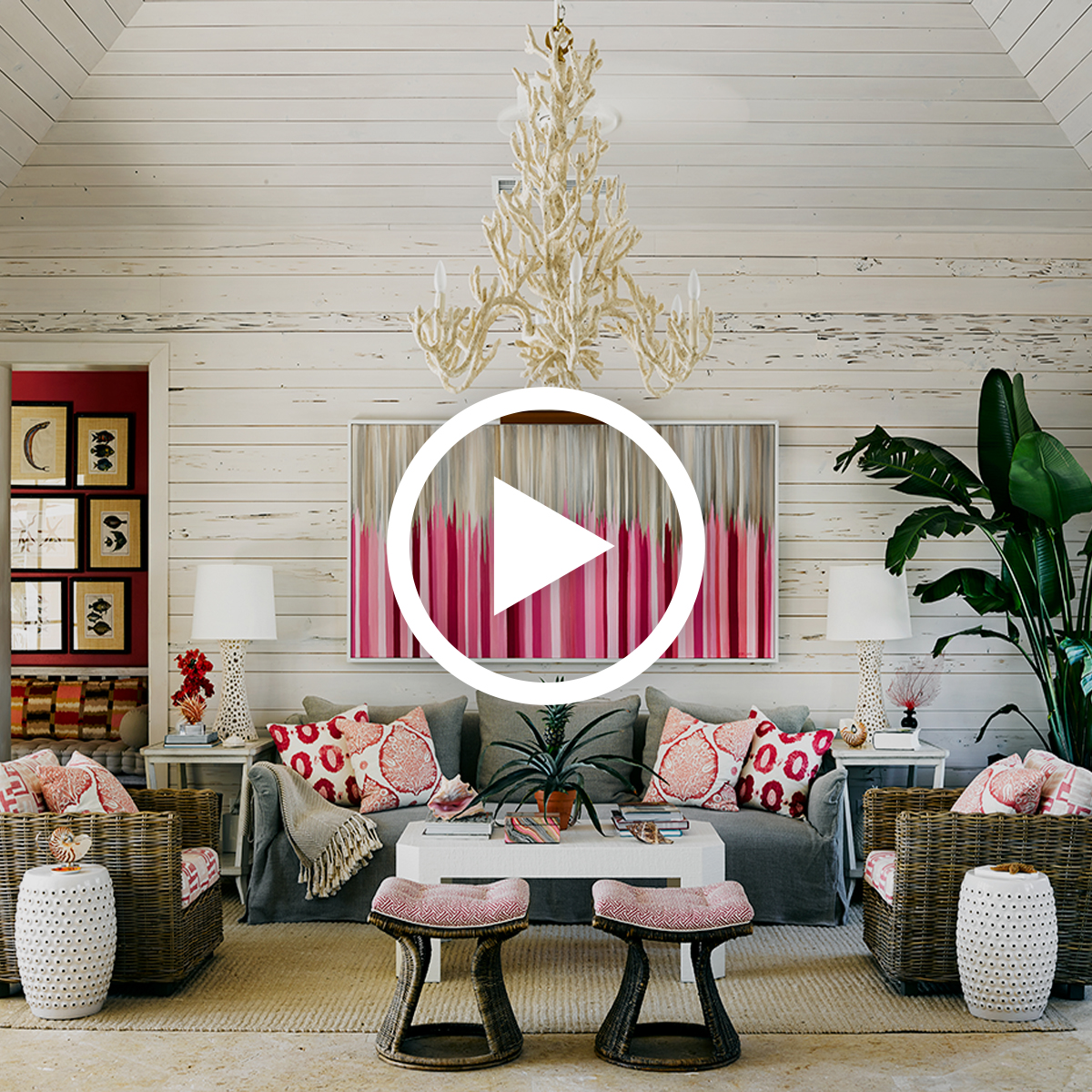 designtv alessandra branca