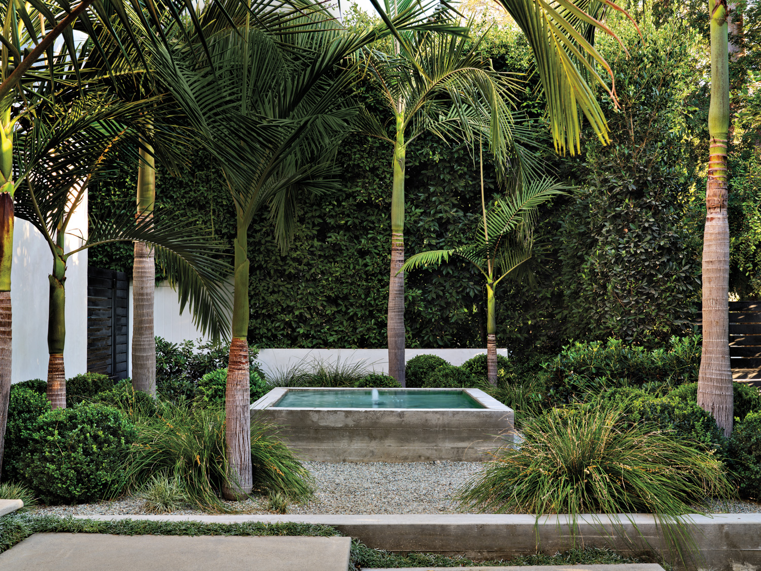 outdoor pool with palm trees