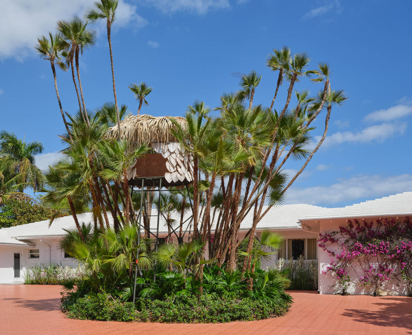 A tropical scene with tall palm trees surrounding a thatched structure on stilts. The background features a white building with vibrant bougainvillea under a bright blue sky.
