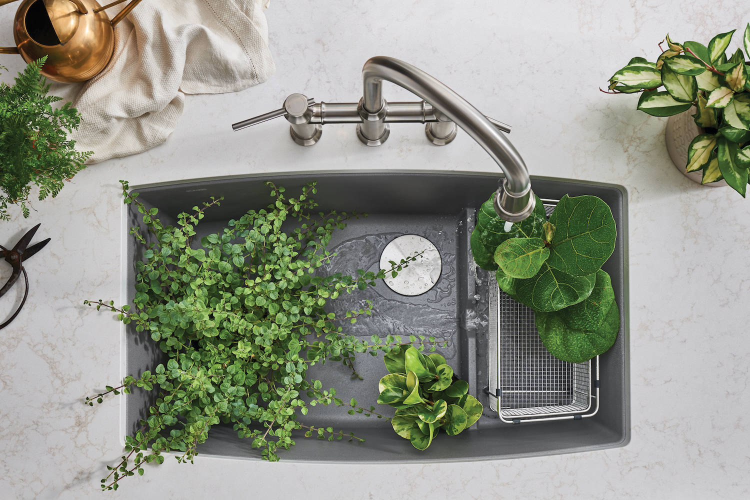 ariel view of sink with green plants in sink