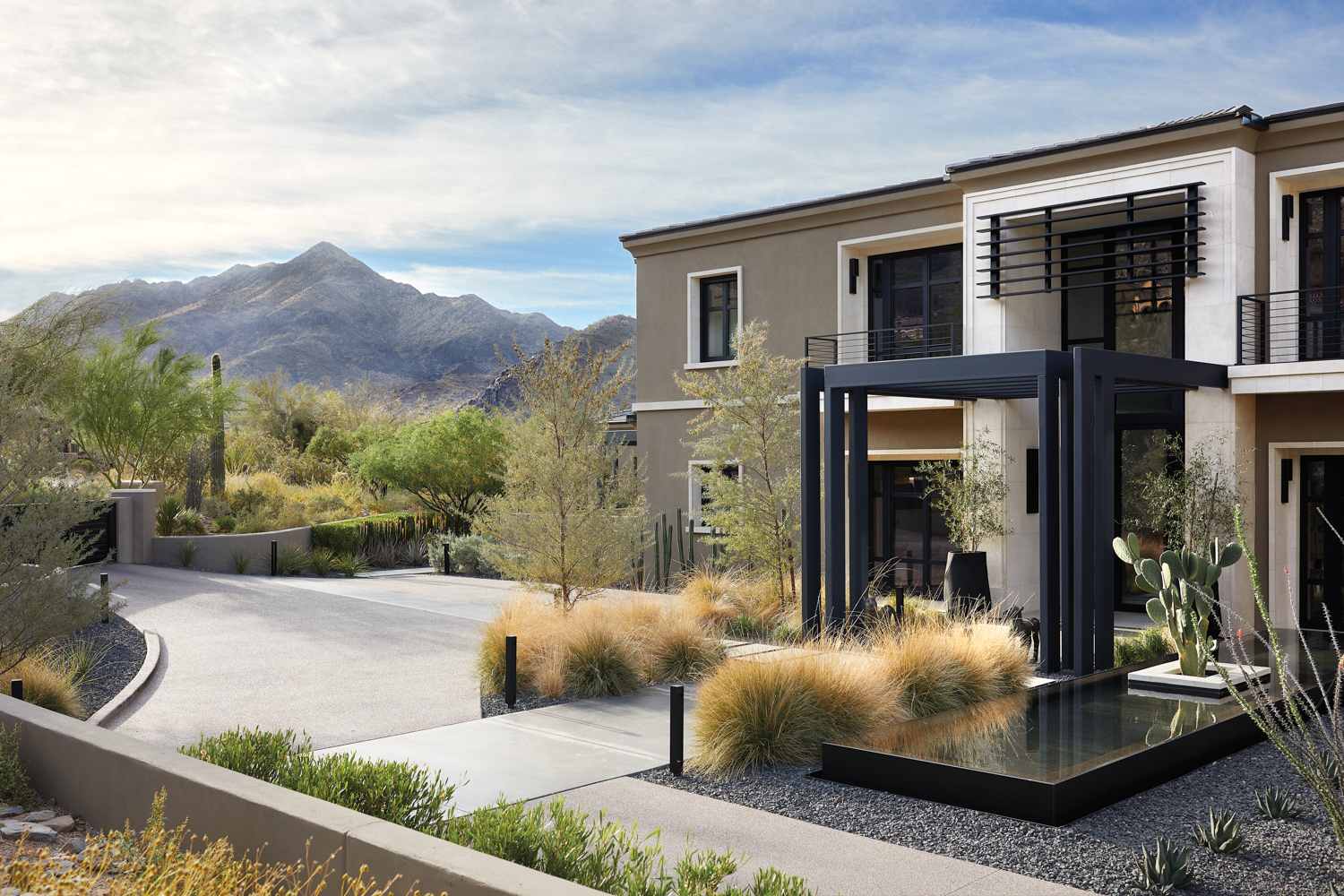 The outside of a modern house with a black metal frame entrance and native desert landscaping surrounds the house