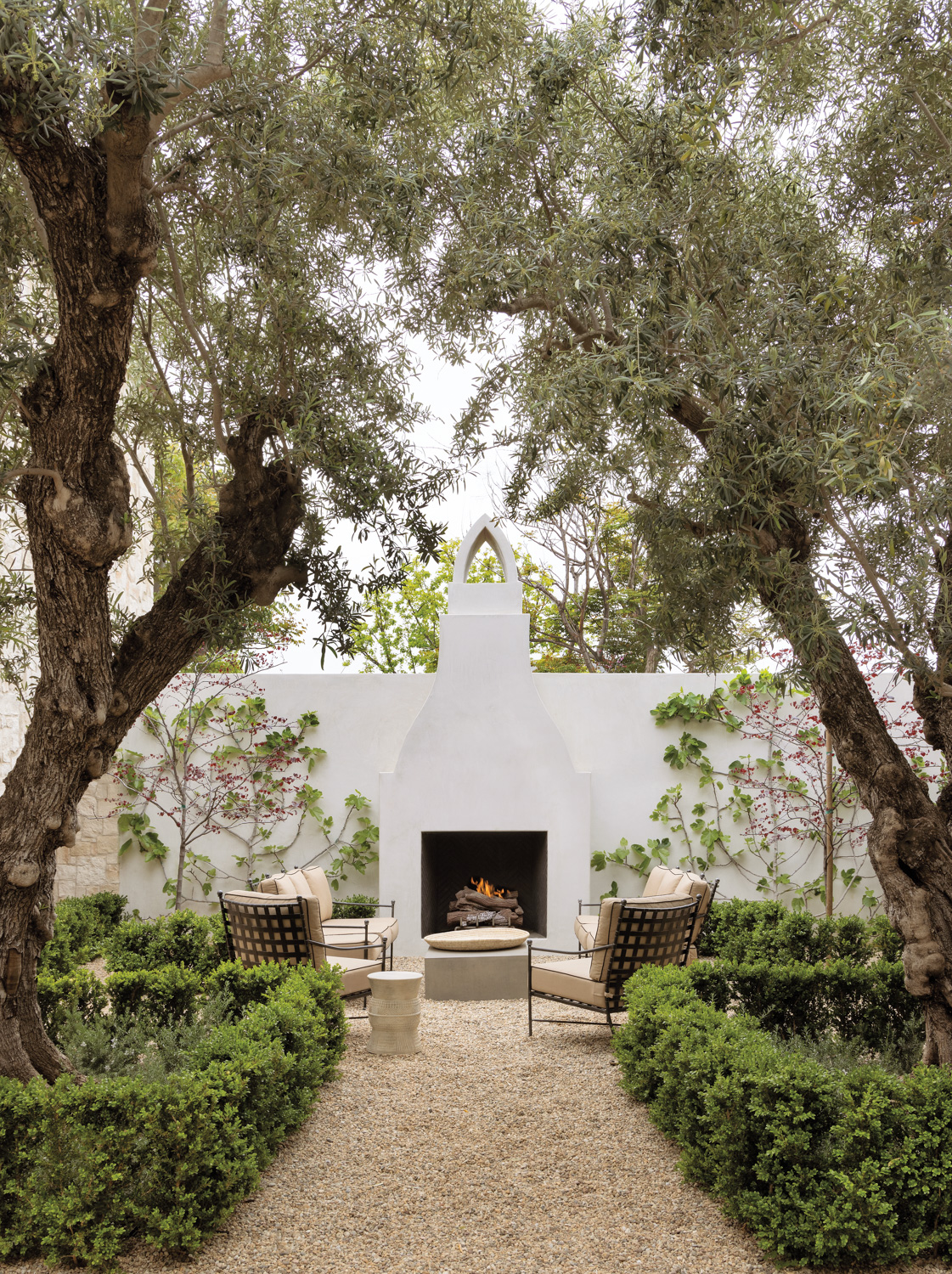 enclosed courtyard area pathway leading between hedges and mature olive trees