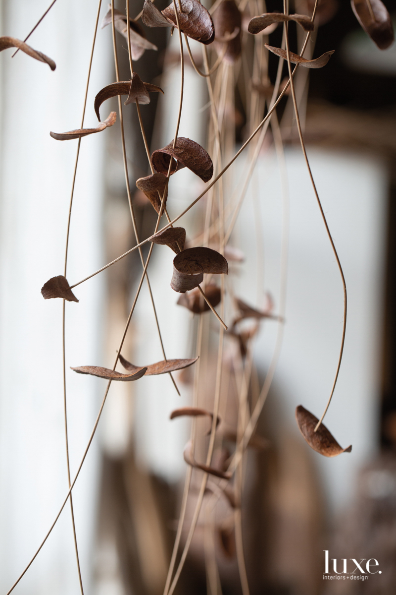 hanging thin wood branches with leaves