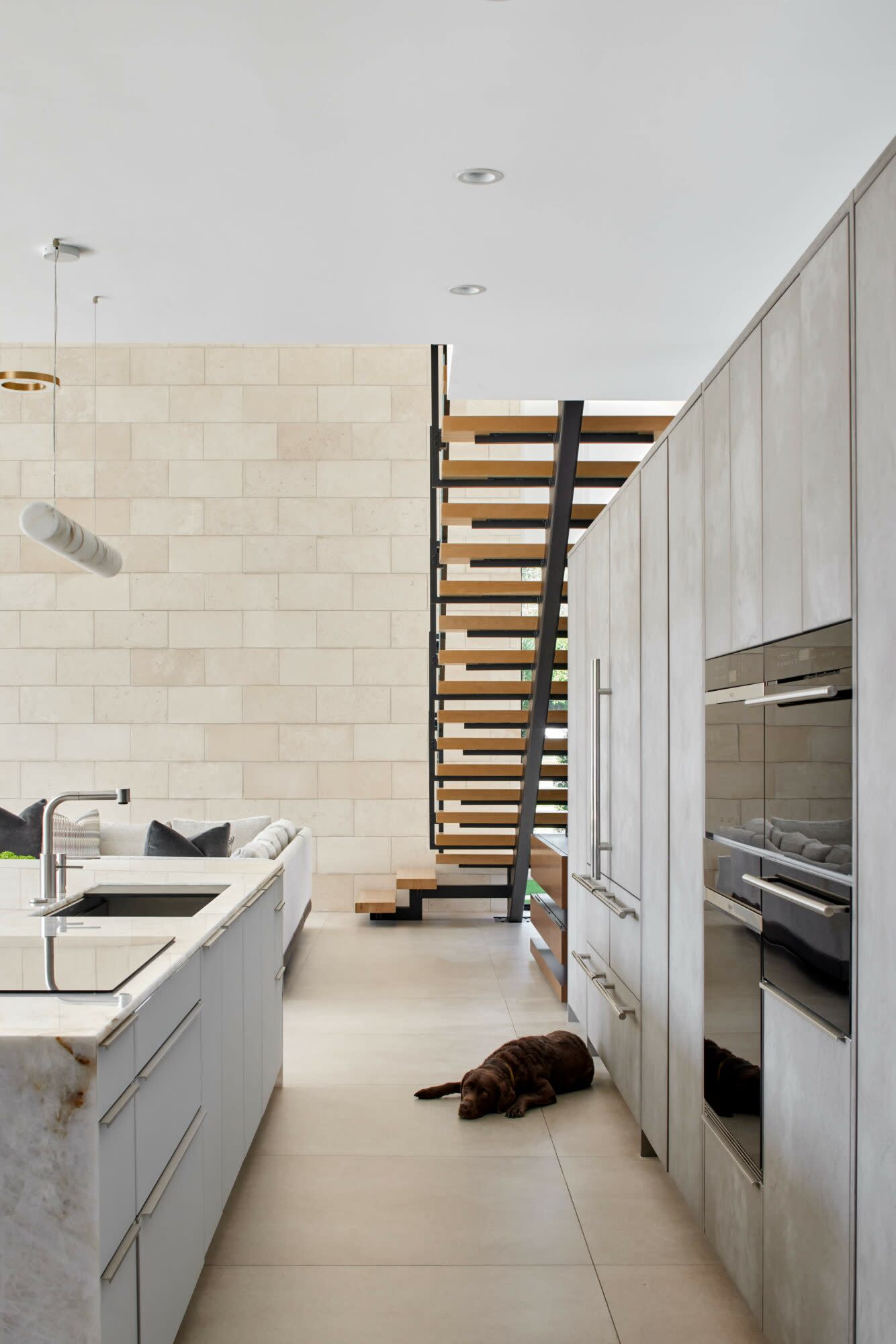 A dog resting on the kitchen floor.