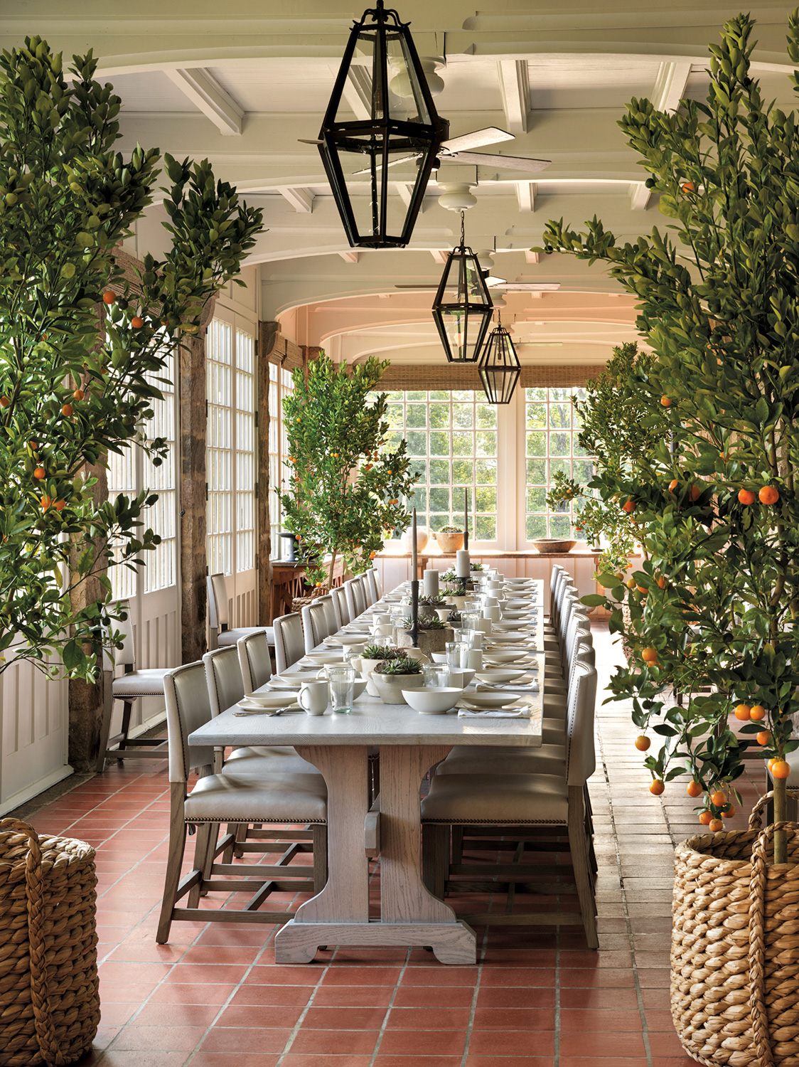 long communal dining table flanked by potted citrus trees