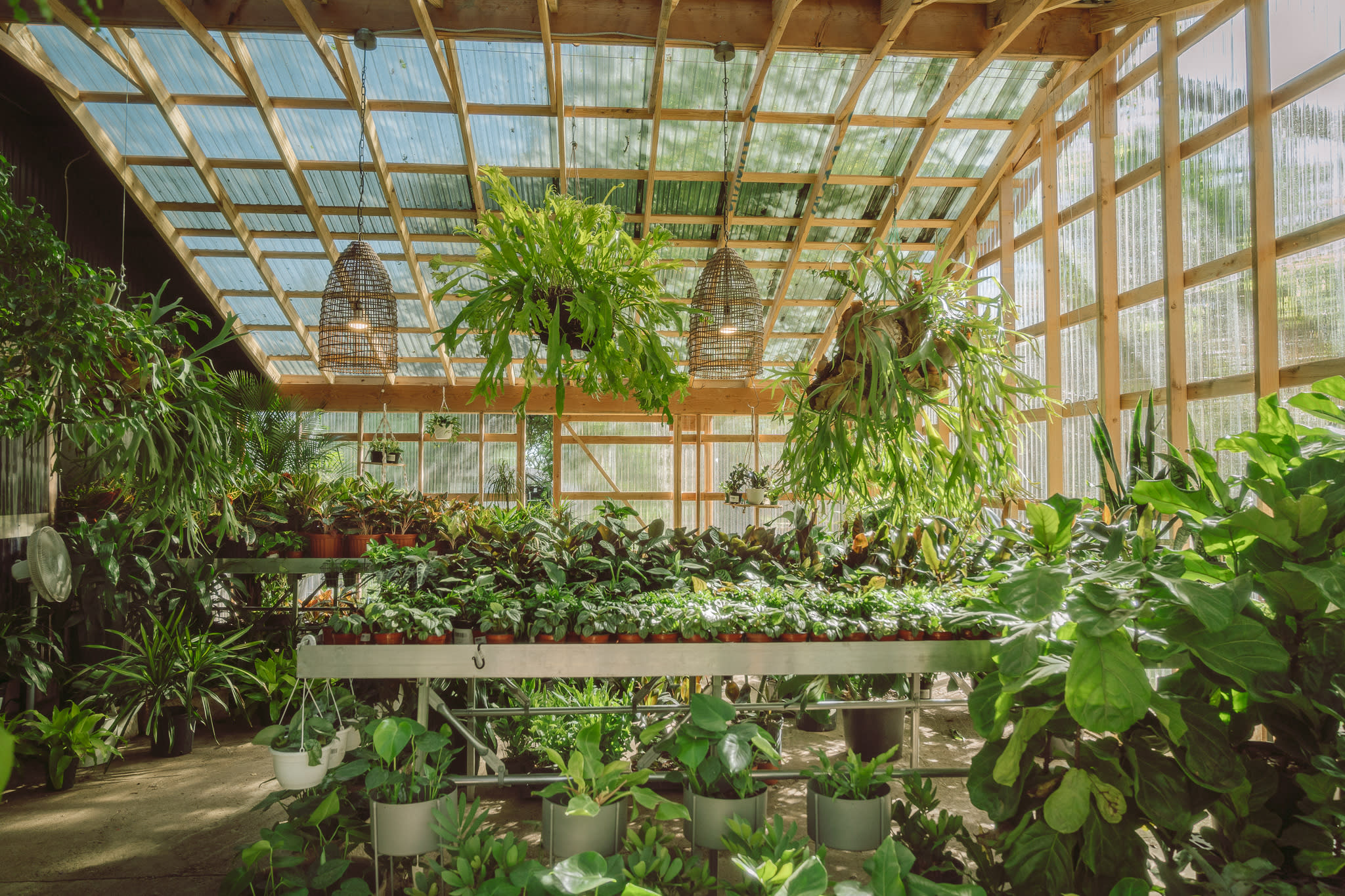 Barton Springs Nursery tropical house: Greg Thomas Photography