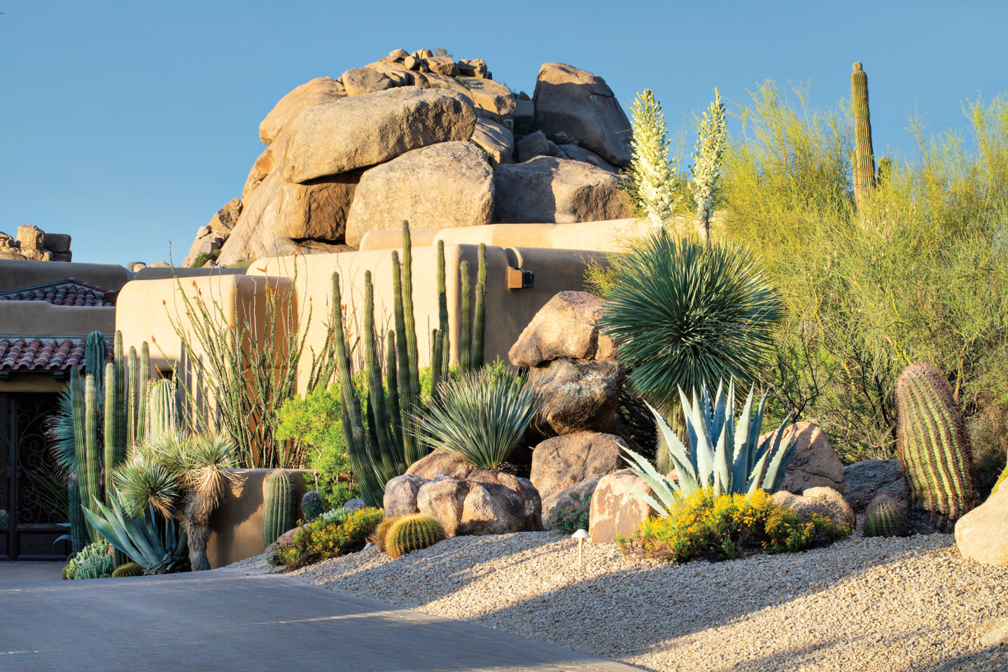 desert landscaping