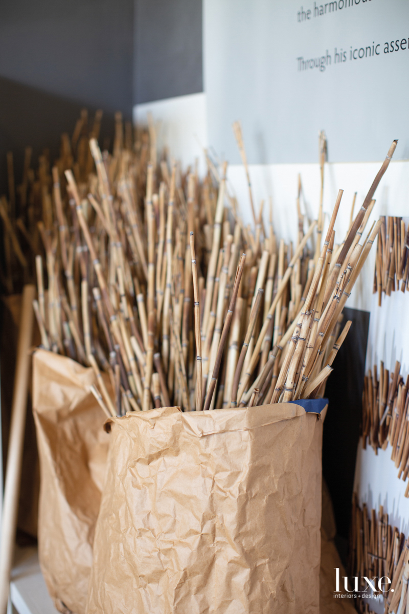 horsetail rush in brown bags