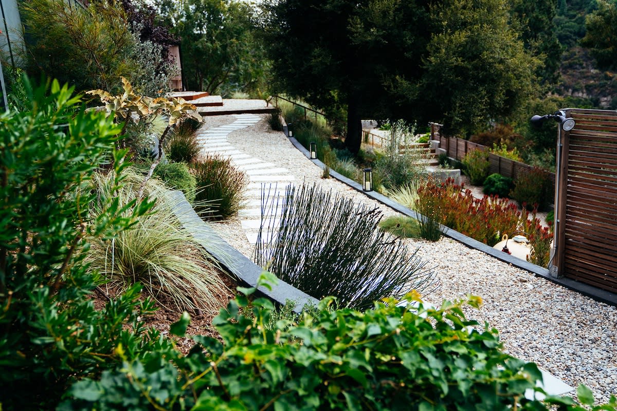 A charming walkway featuring a variety of plants and shrubs in the foreground, enhancing the natural beauty of the path.