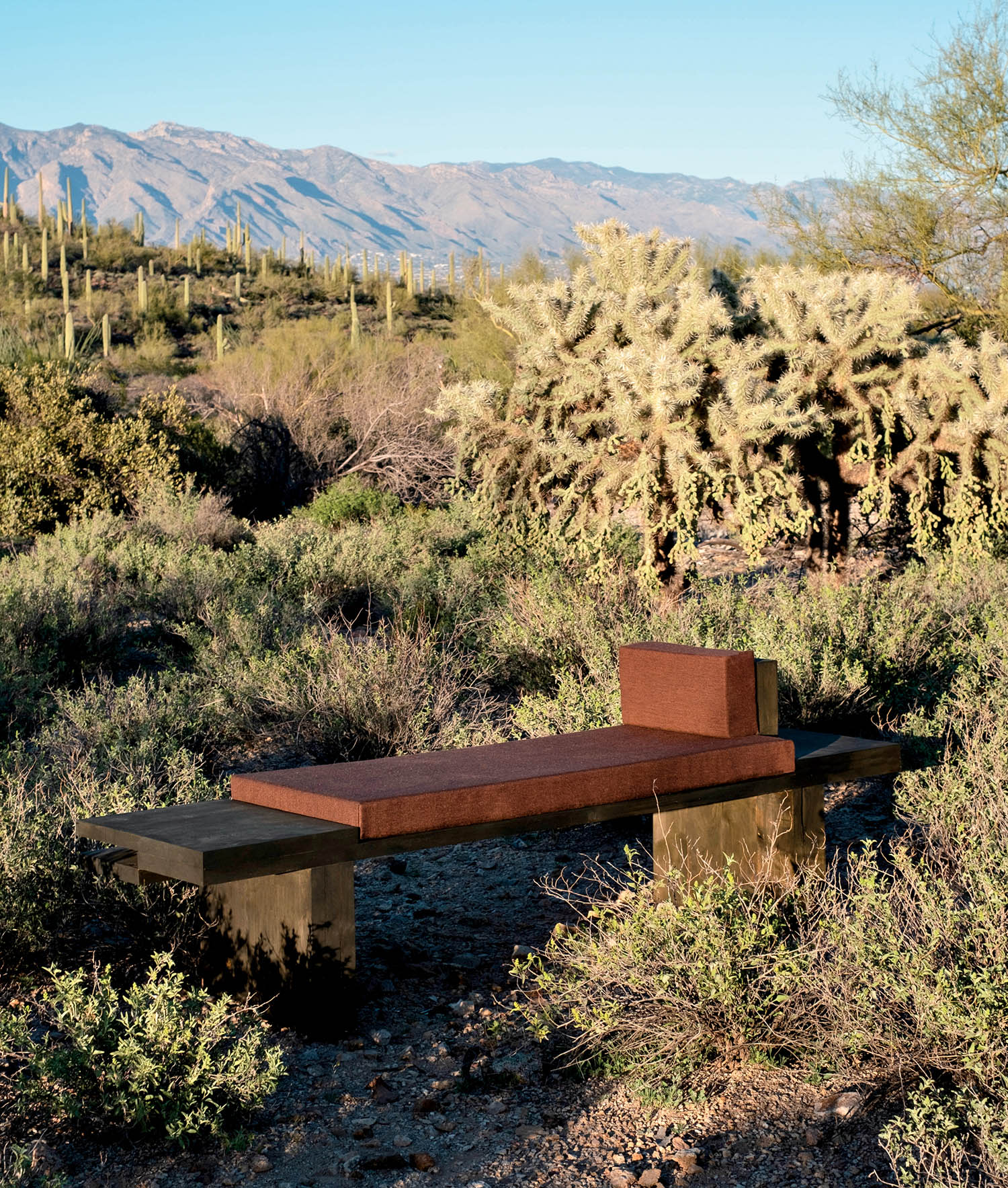 Wooden bench with rust-colored accents in a desert landscape, surrounded by green shrubs and cacti, with distant mountains under clear blue sky.