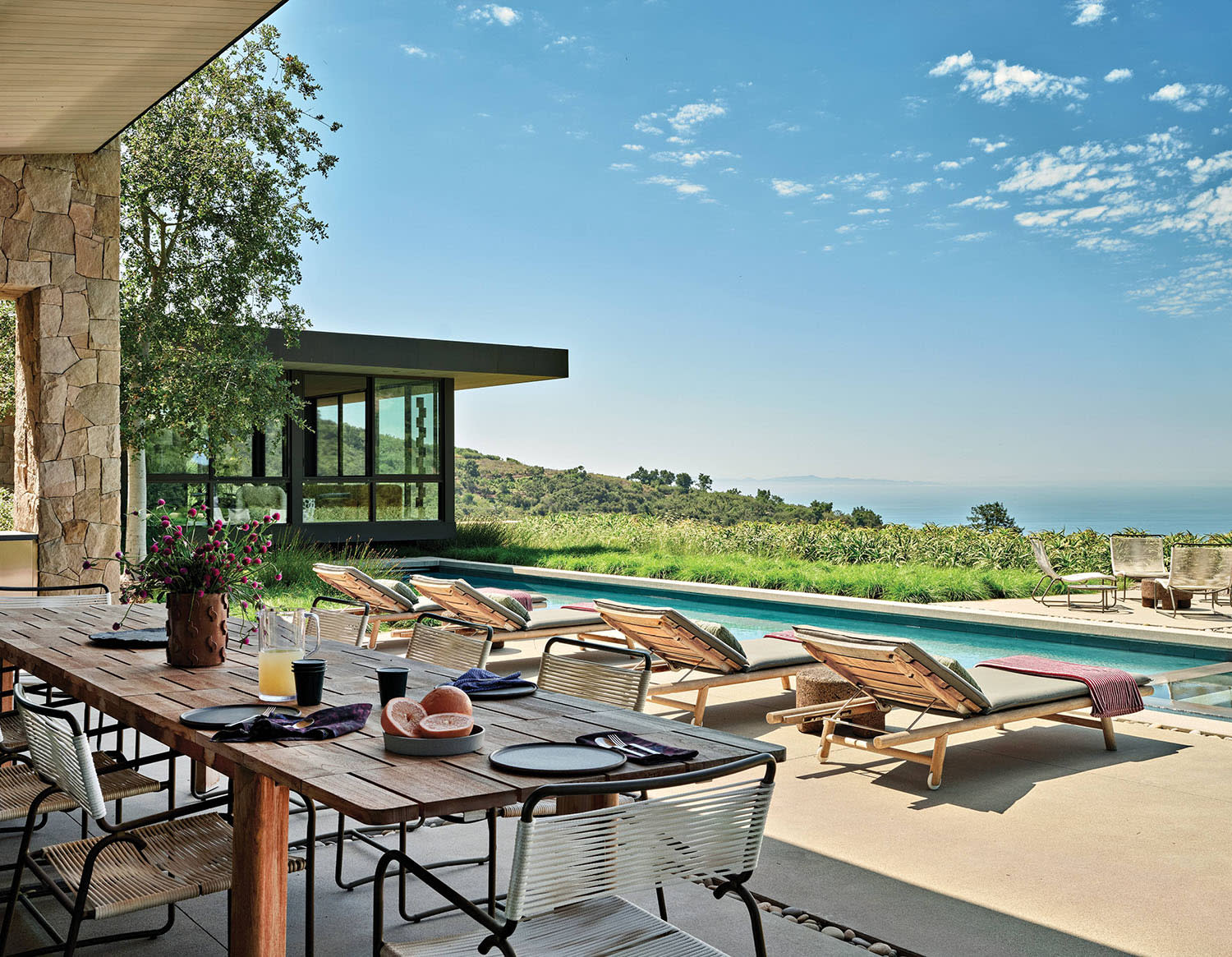 pool and green roof garden on a modern California home