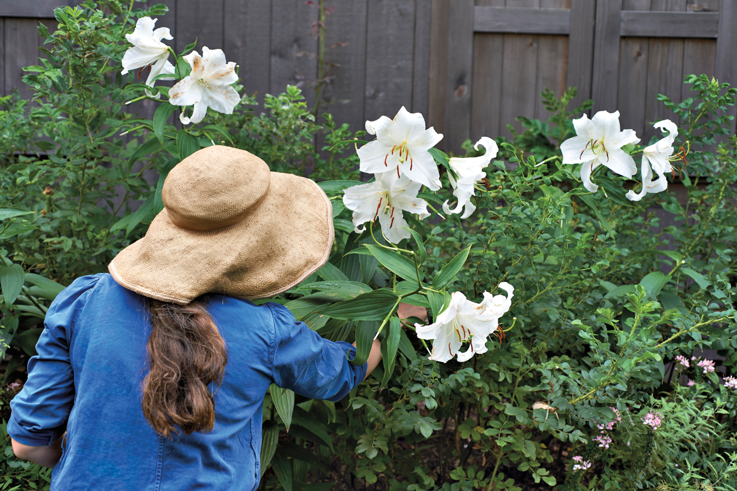 a woman lifts a white flower