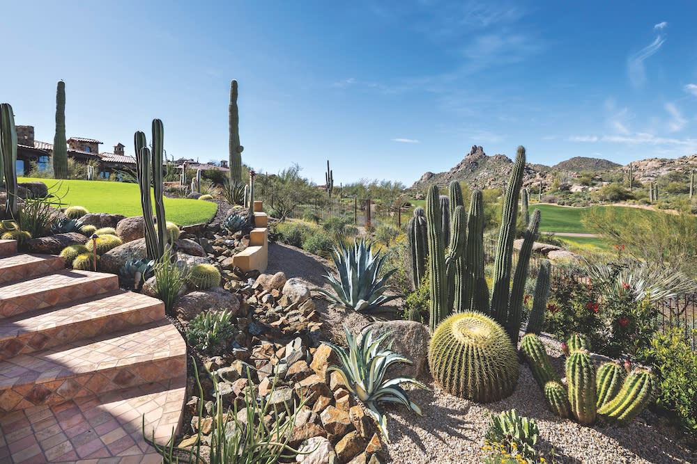 desert foothills landscape cactus steps