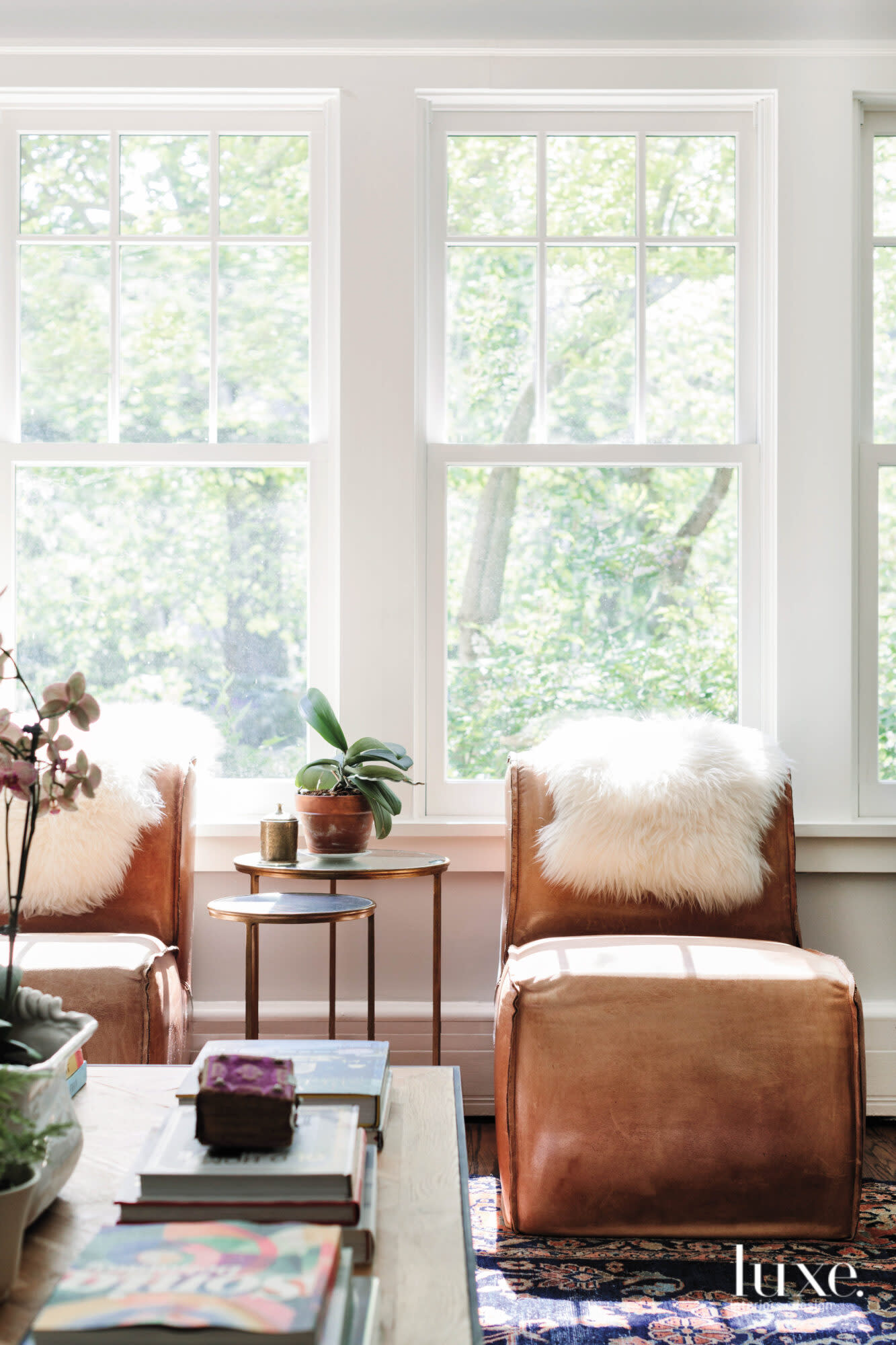 Bright light envelopes the living space, dotted with leather chairs and plants