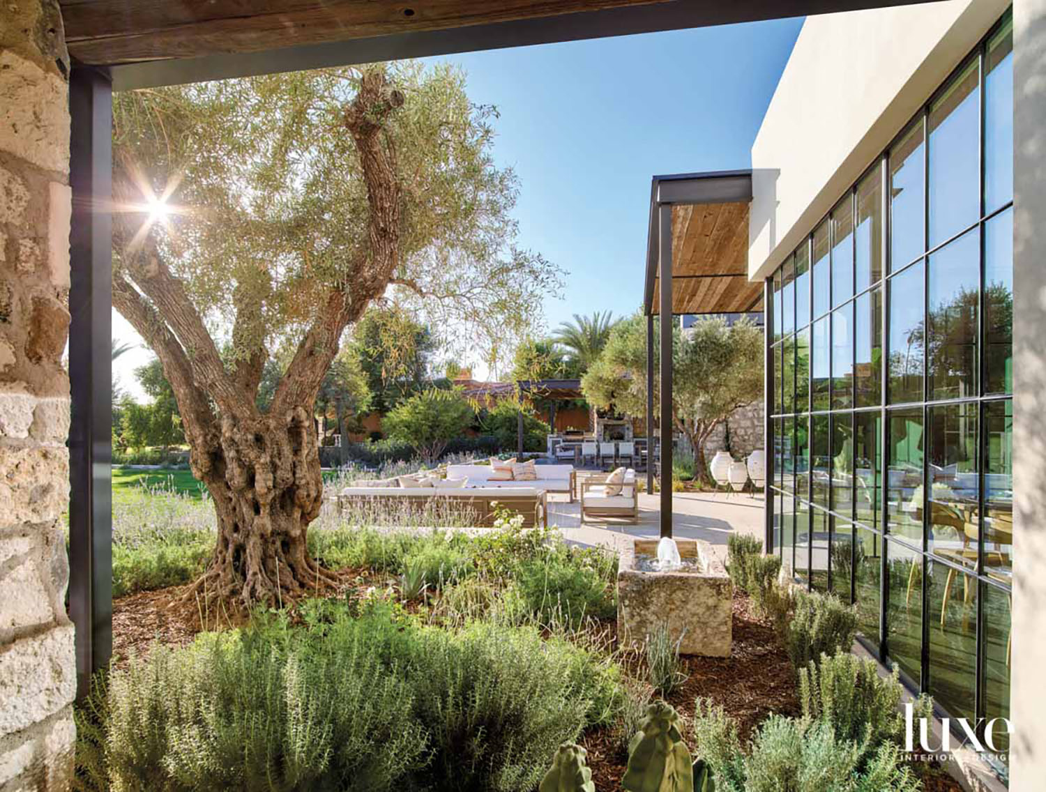 A furnished patio with a olive tree next to it.