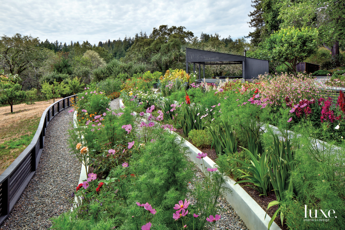 lush Sonoma County terraced garden with wildflowers shows trends in garden design