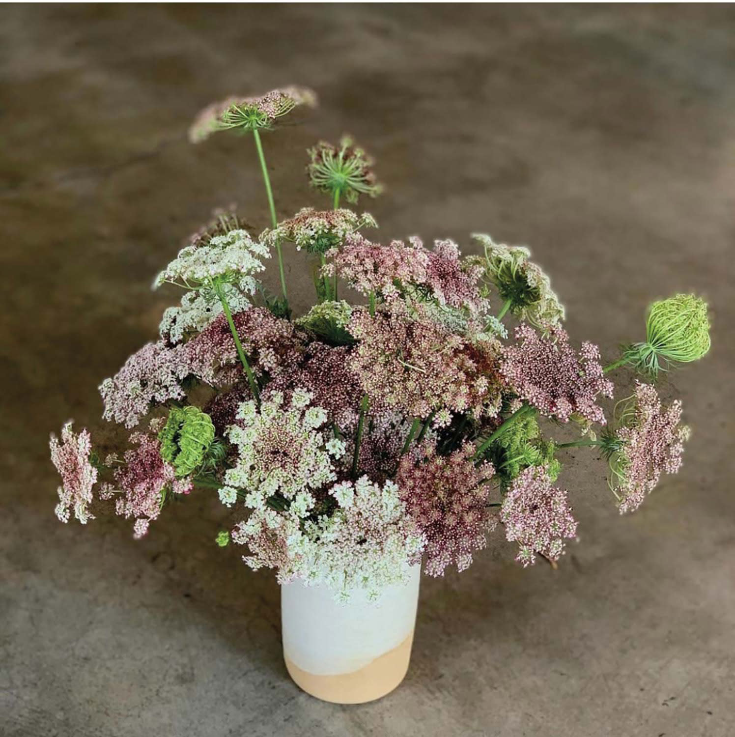 Bouquet of purple and white flowers in a white vase with a tan bottom