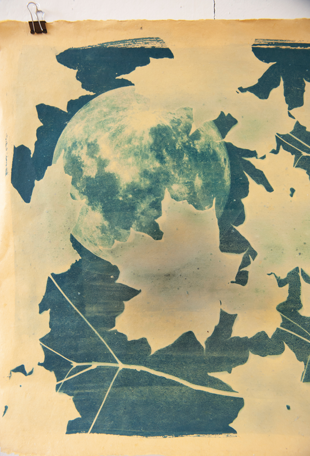 A blue cyanotype on paper.