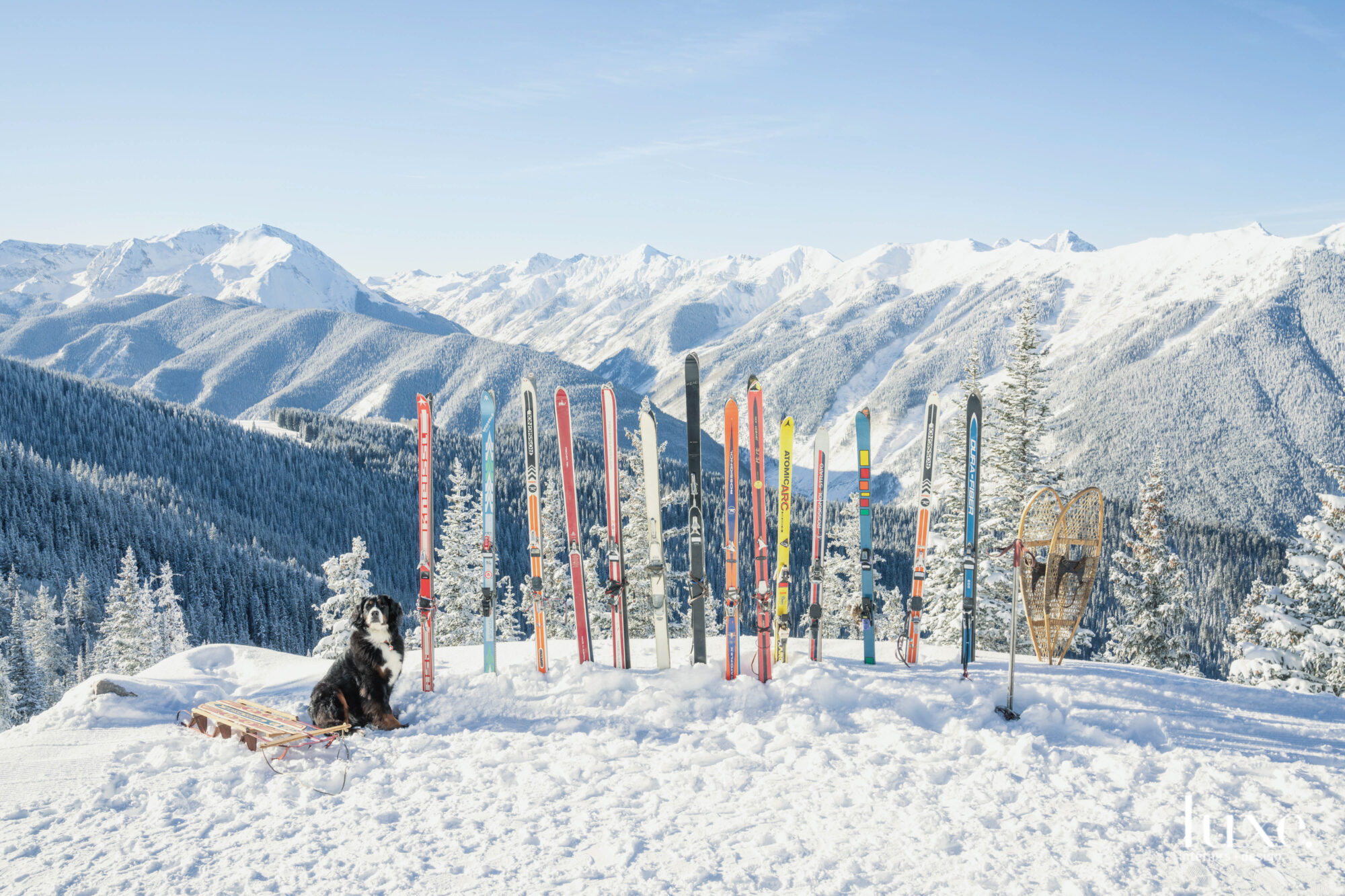 Mountain scene with skis 