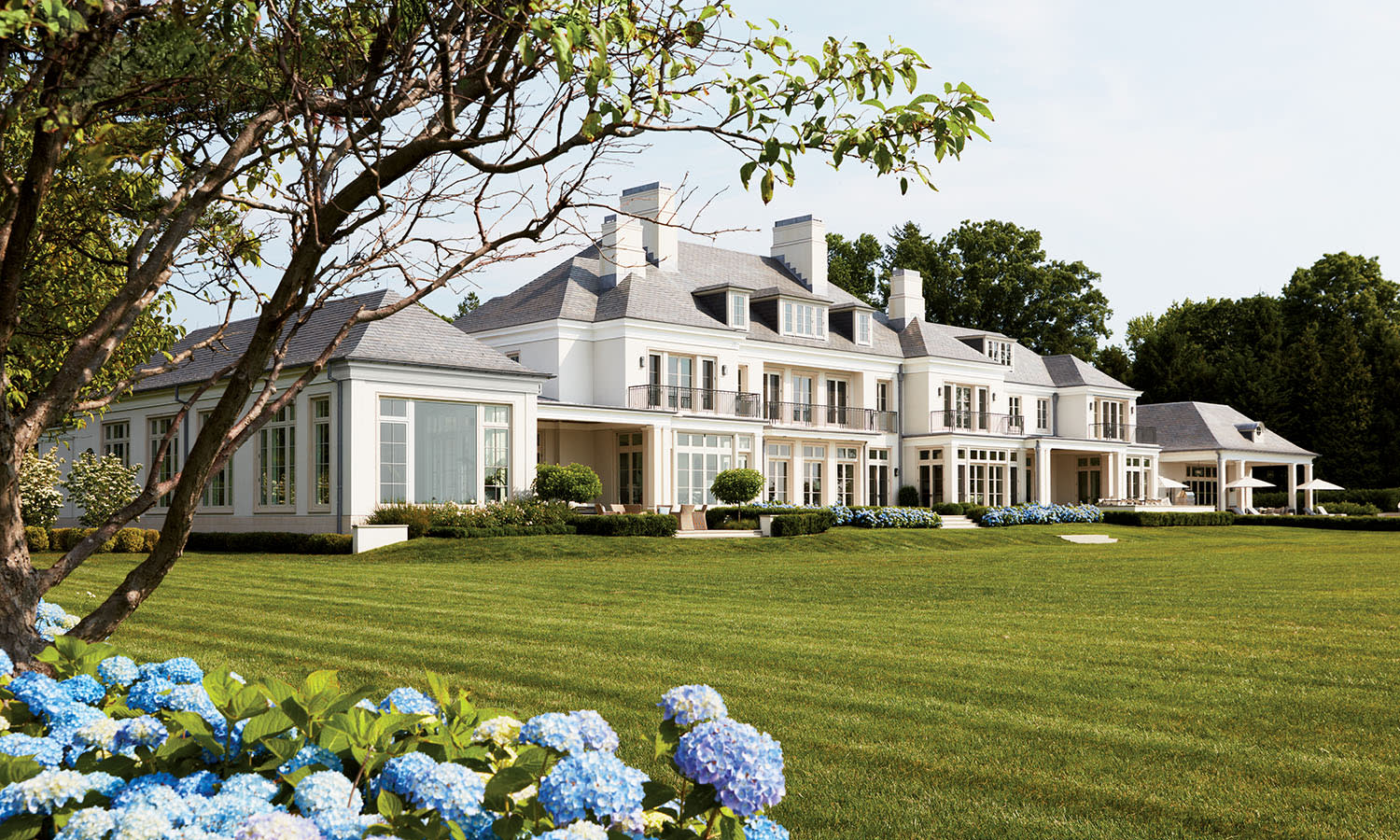 Sprawling white mansion with multiple chimneys surrounded by lush green lawn. Foreground features blooming blue hydrangeas and leafy trees. Elegant and serene.