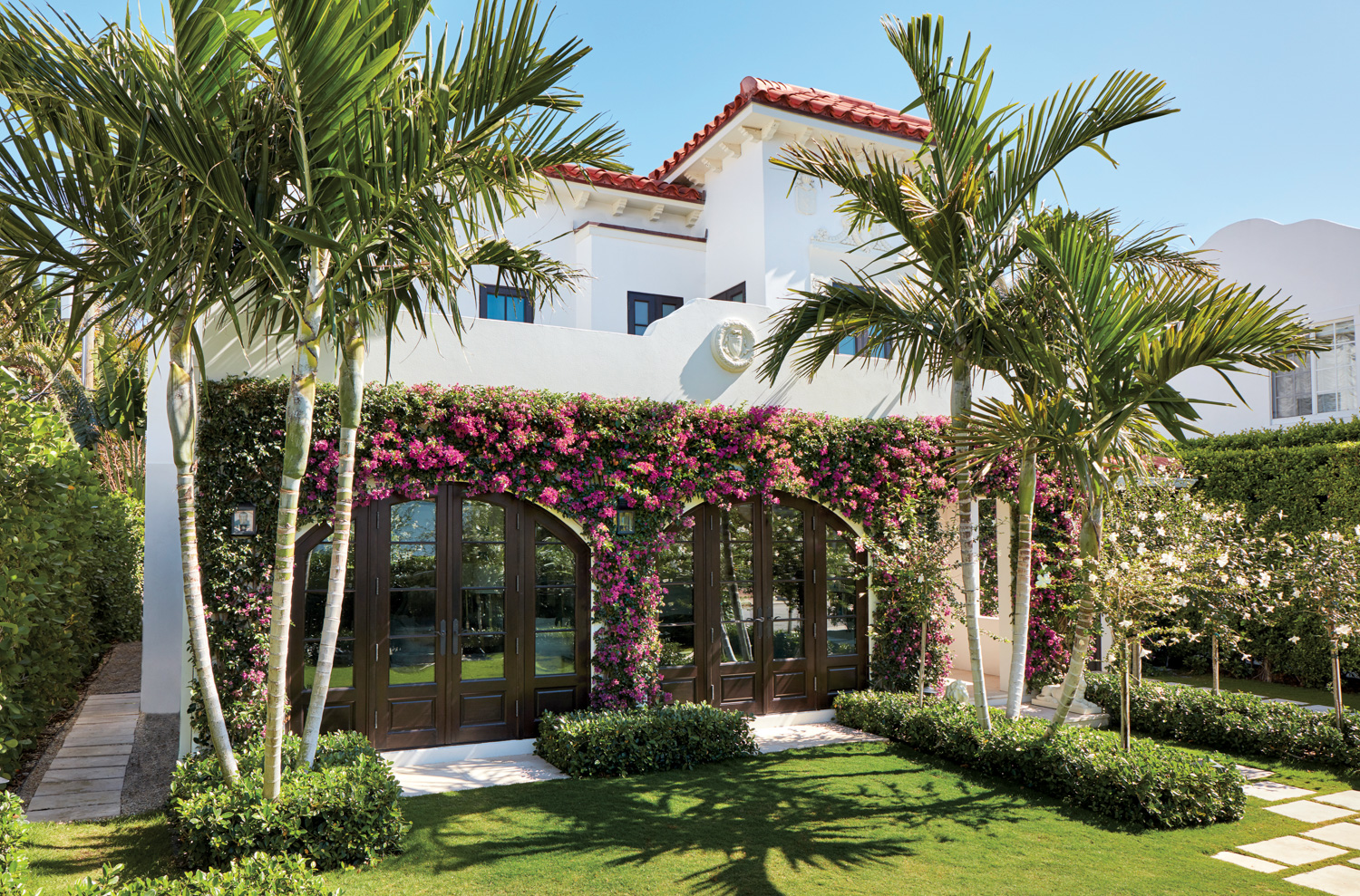 Bougainvillea and palm trees a Palm Beach backyard 