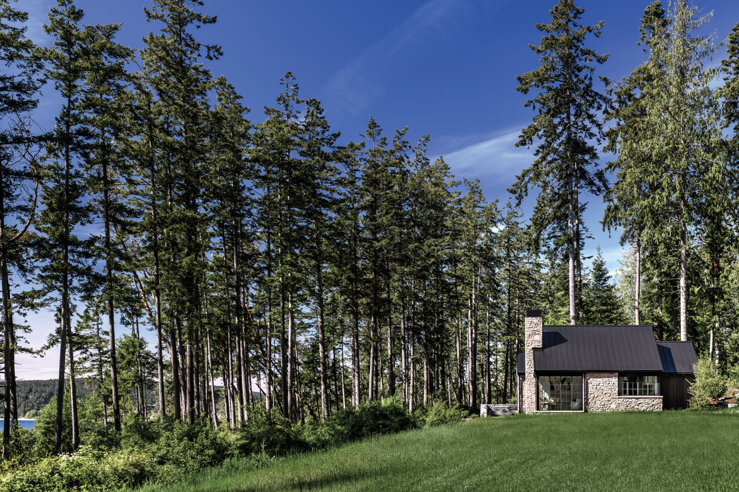 a waterfront cottage surrounded by trees in Port Townsend, Washington